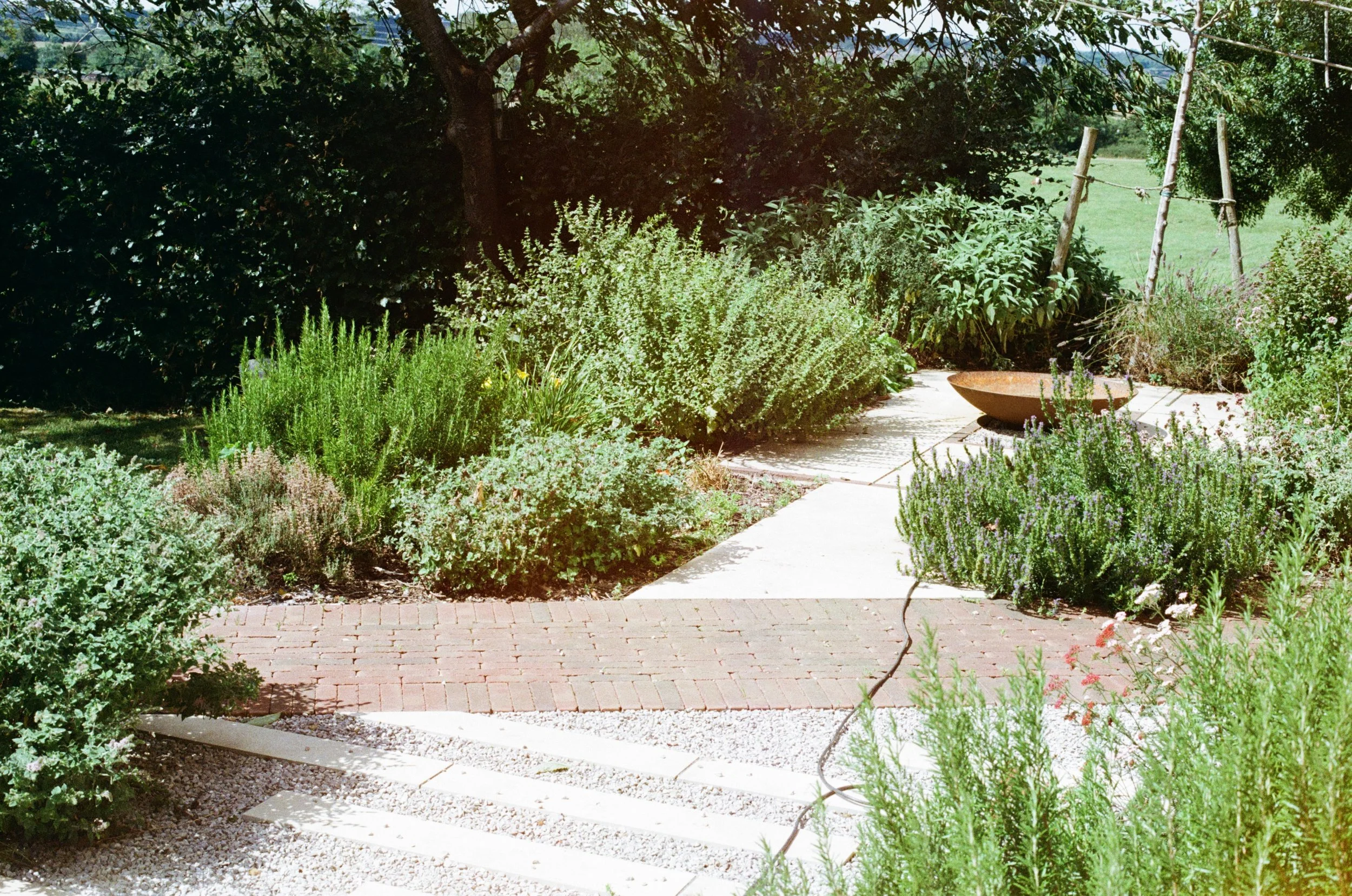 Culinary Herb Garden