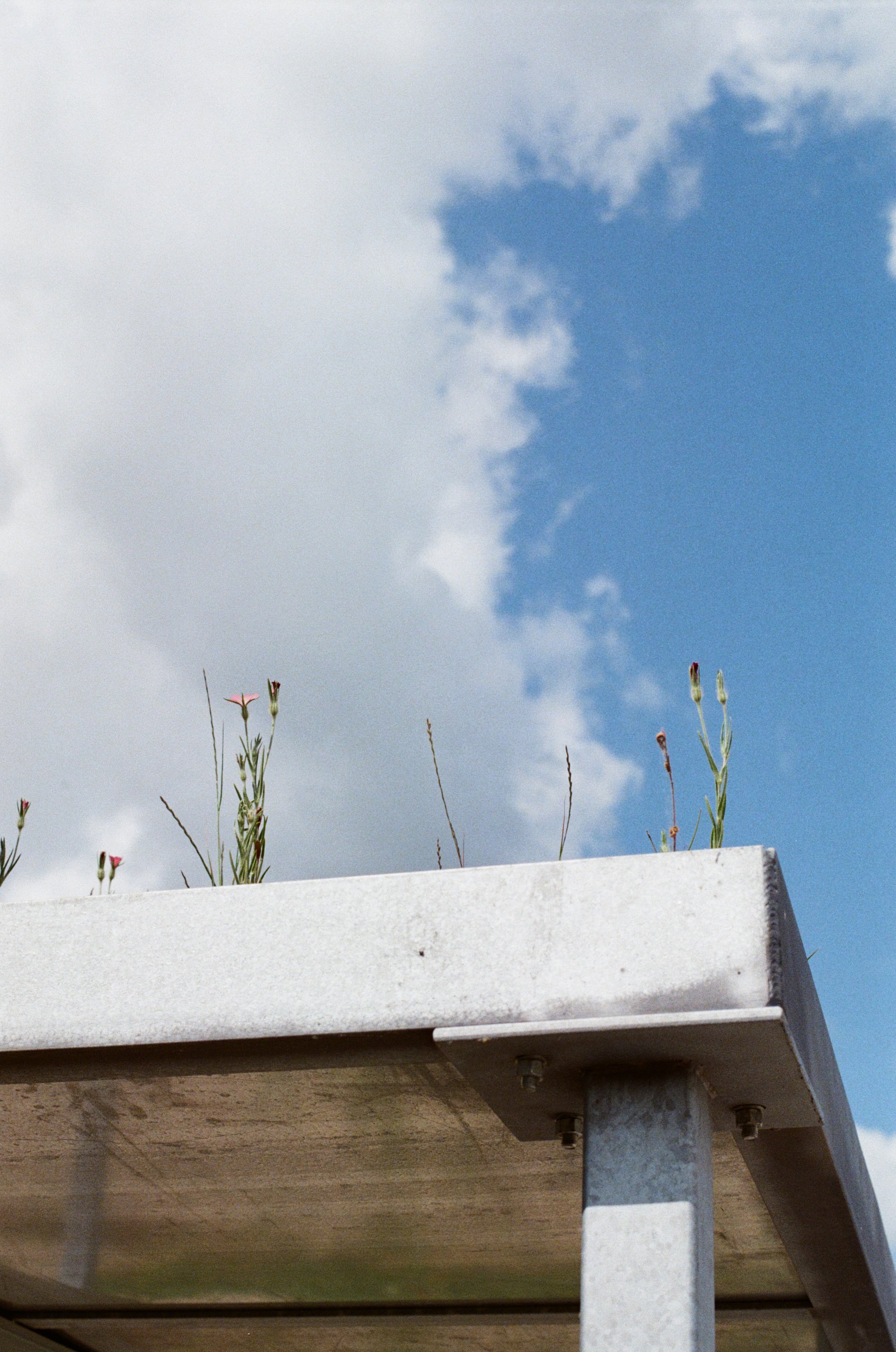 Green Roof Pavilion Corner