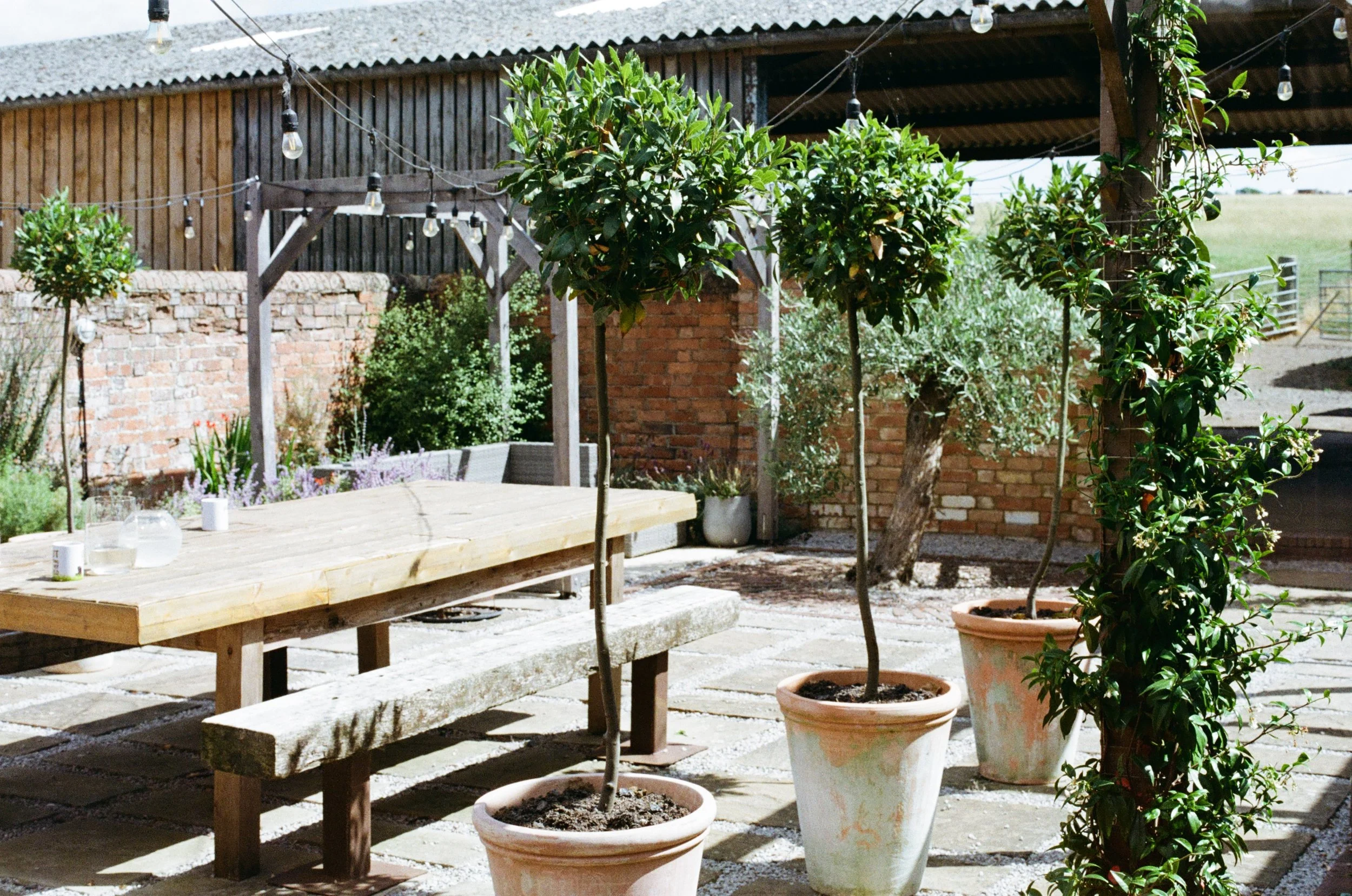 Relaxed Formal Mediterranean Garden