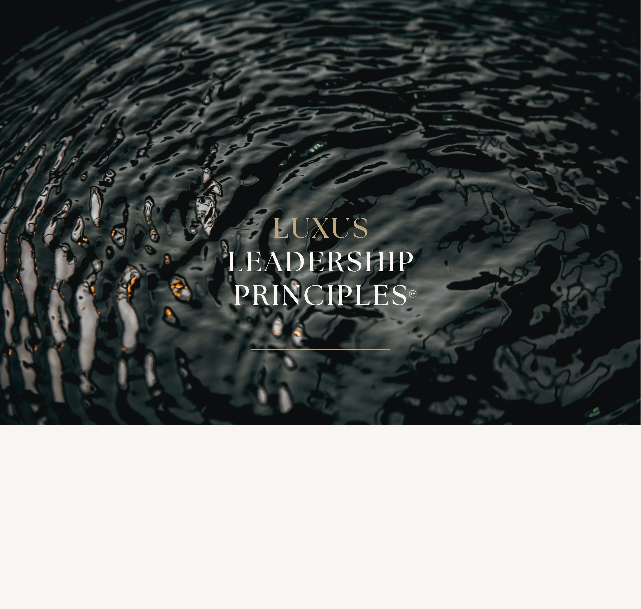 DPTL - Heading Background 1.jpg