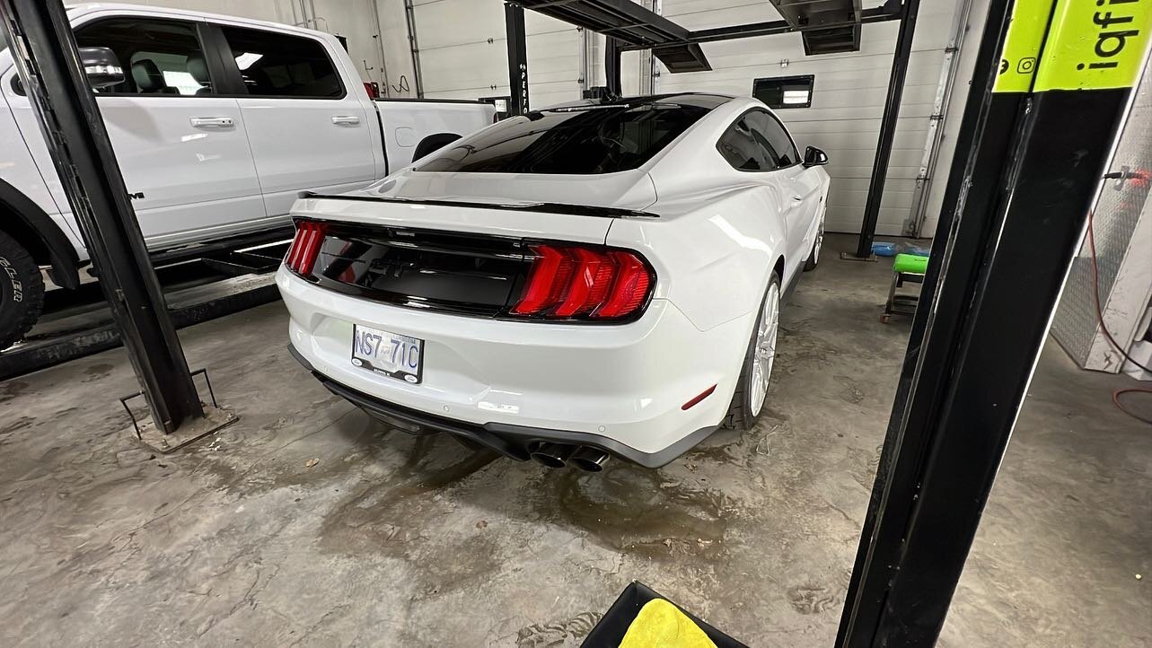 Car this nice, you have to protect it. Mustang gt received our,
- one step paint correction
Before being coated 

DM/Text/Call today to book your next appointment!
📞 778-212-4994
📍 4316 29th Ave (open)
🚗 Mobile detailing
🥇 Ceramic pro
🫰🏽pick up