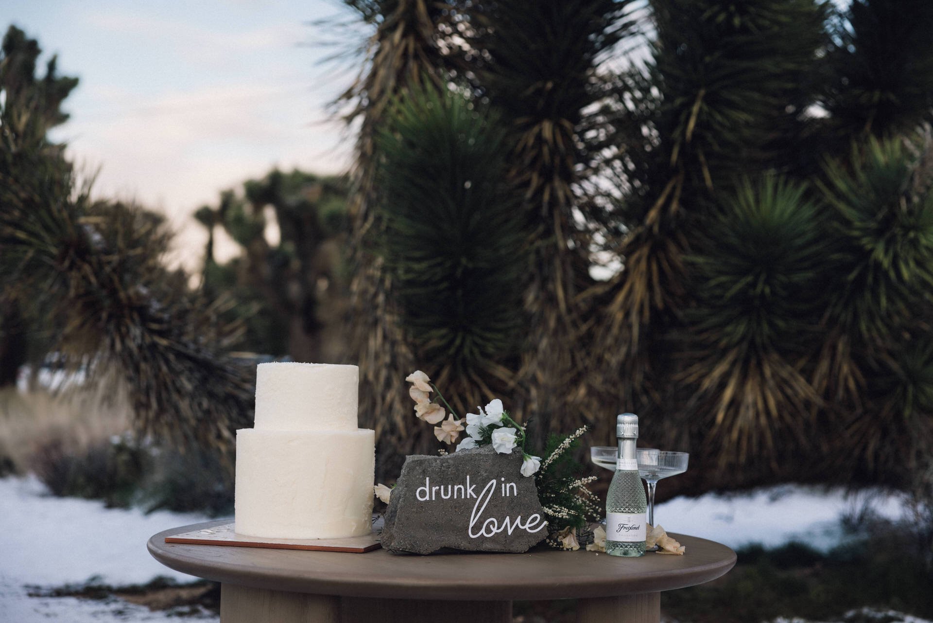 destination elopement and small wedding photographer / 4 reasons why you need a destination elopement photographer