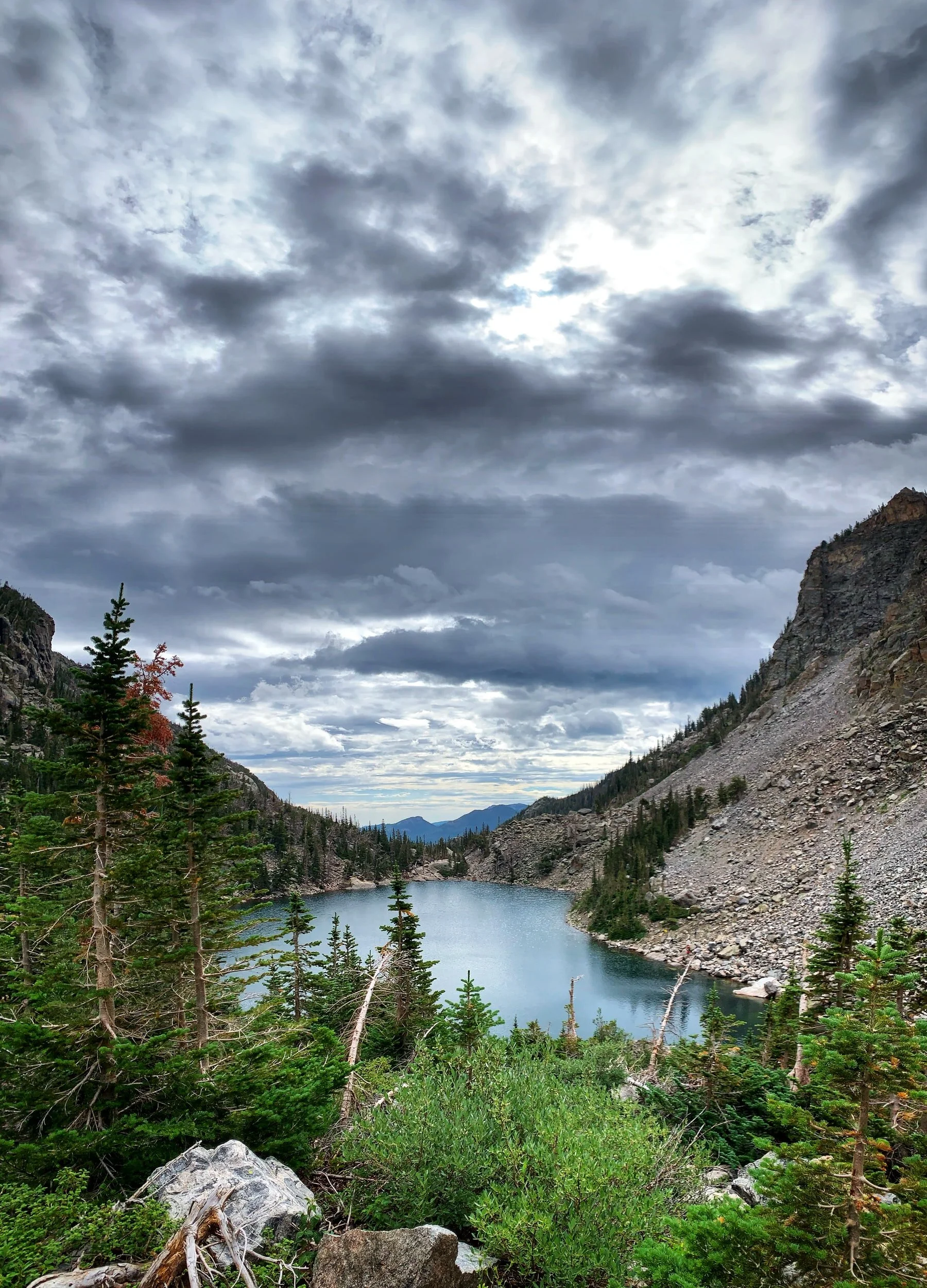 Rocky Mountain National Park wedding and elopement photographer