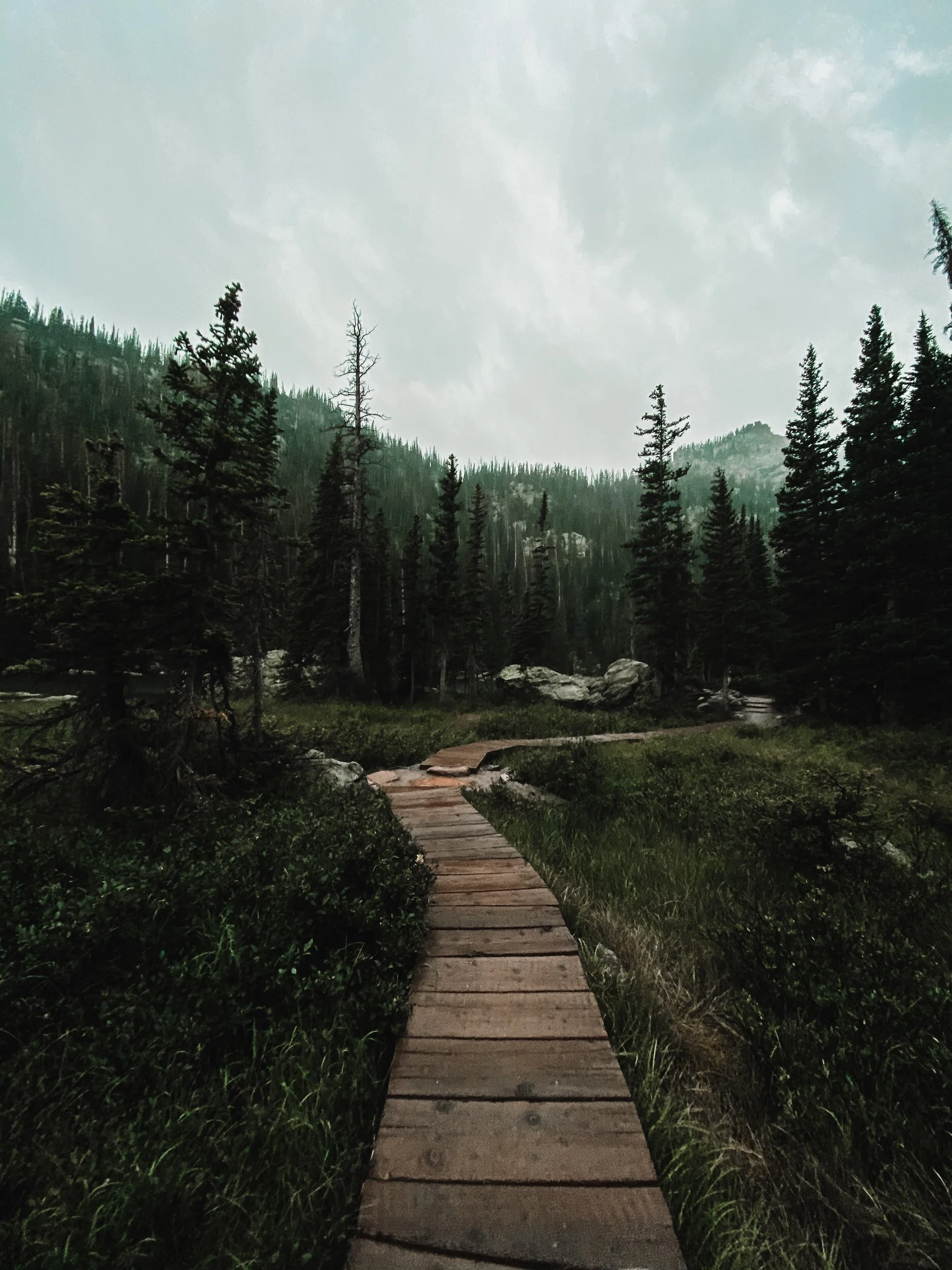 Rocky Mountain National Park elopement