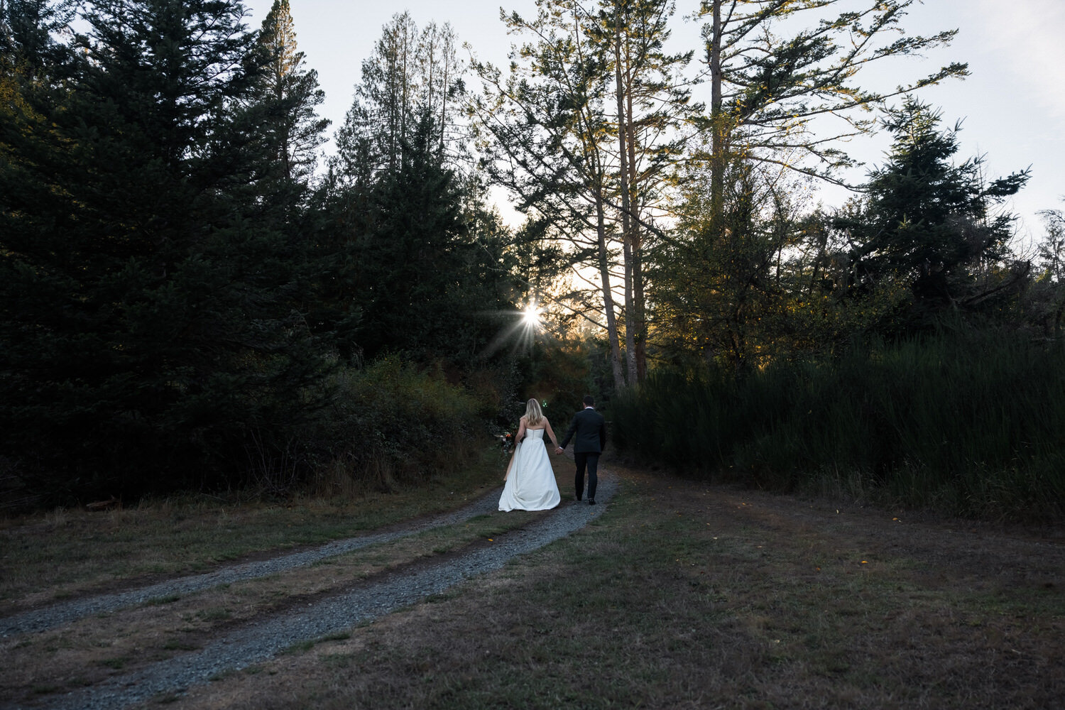 Vancouver Island Adventure Elopement and Small Wedding Photographer - Allie Knull's Photography-81.jpg