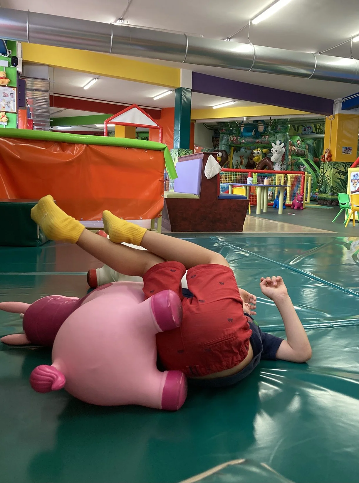 sognodicamy fall.jpg