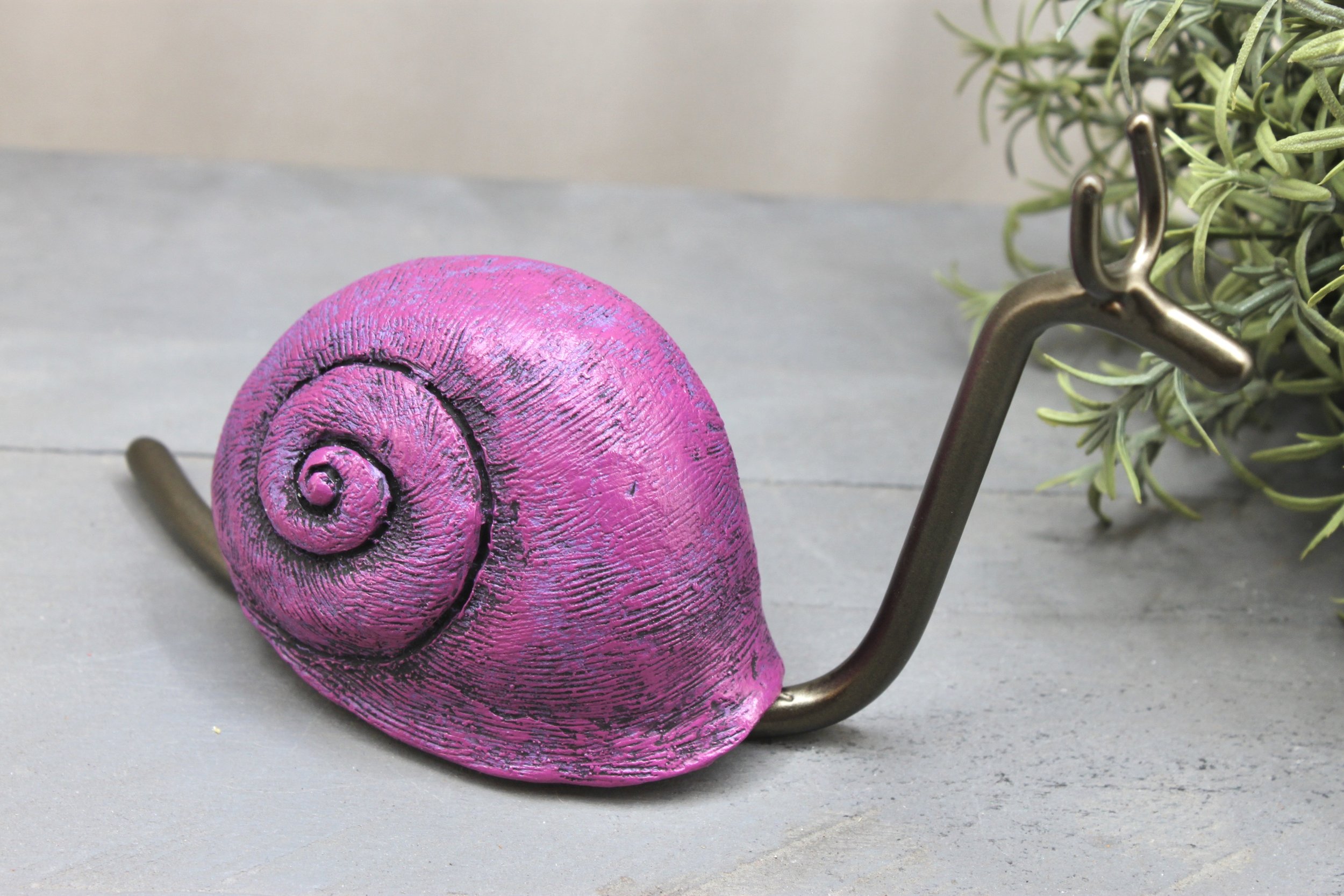 Little Purple Snail