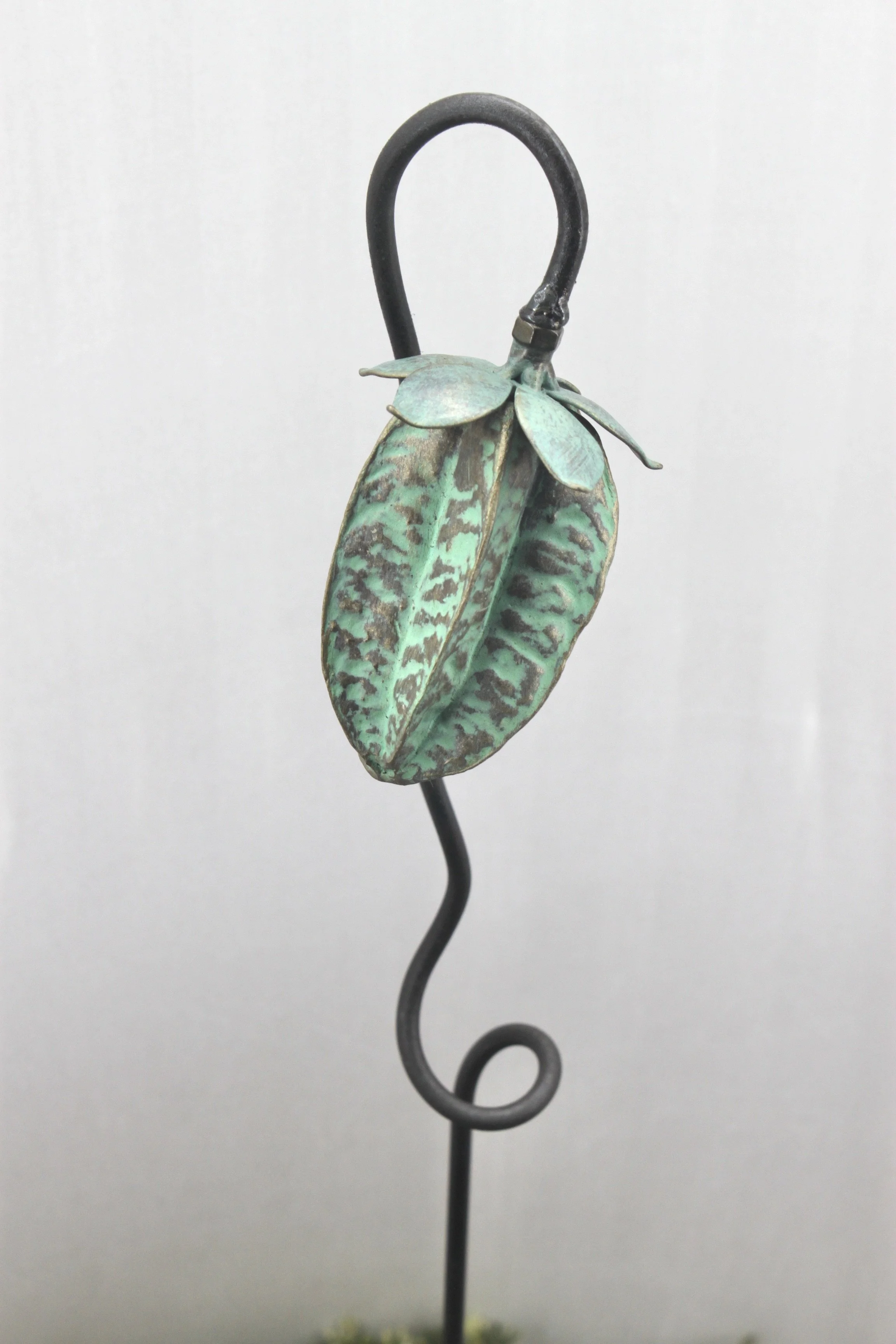 Star fruit  - Verdigris - Special edition