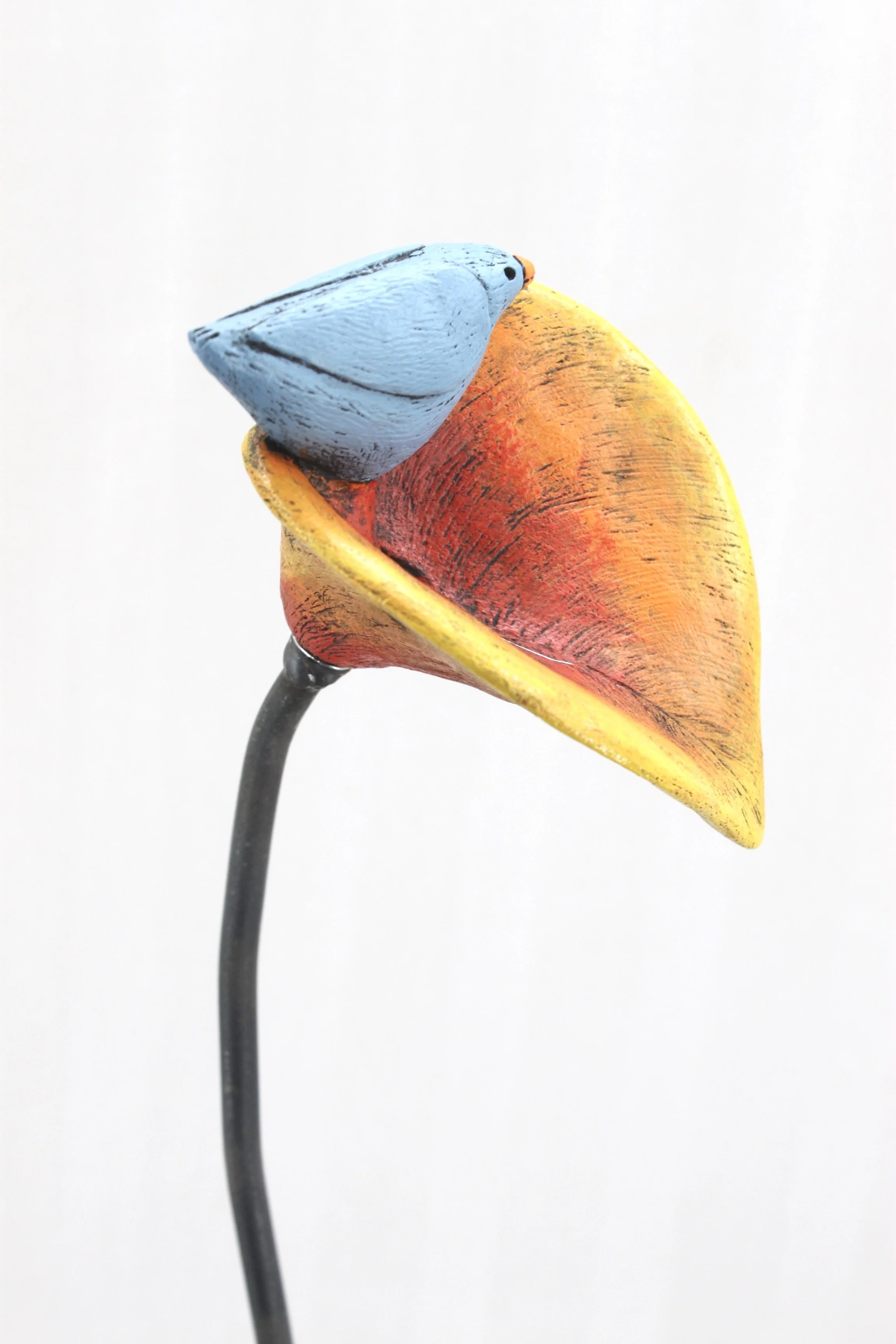 2AA61A44-D021-46F0-9421-ACF6F1A3D314_1_201_a.jpeg