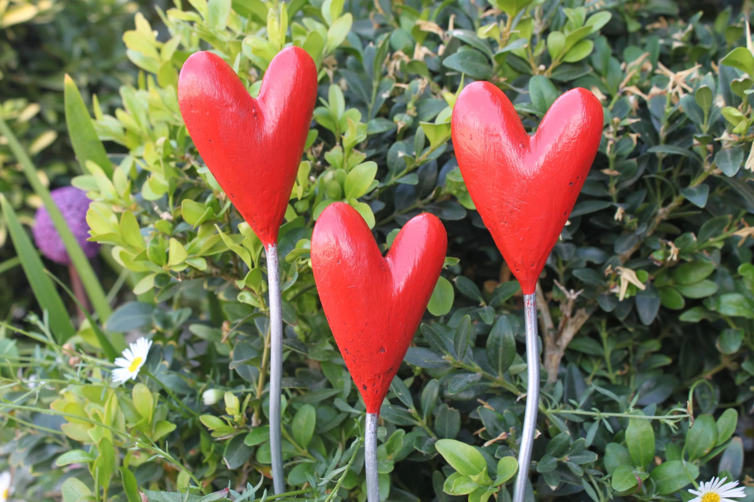 New Heart  - Single stem  (Special Edition)