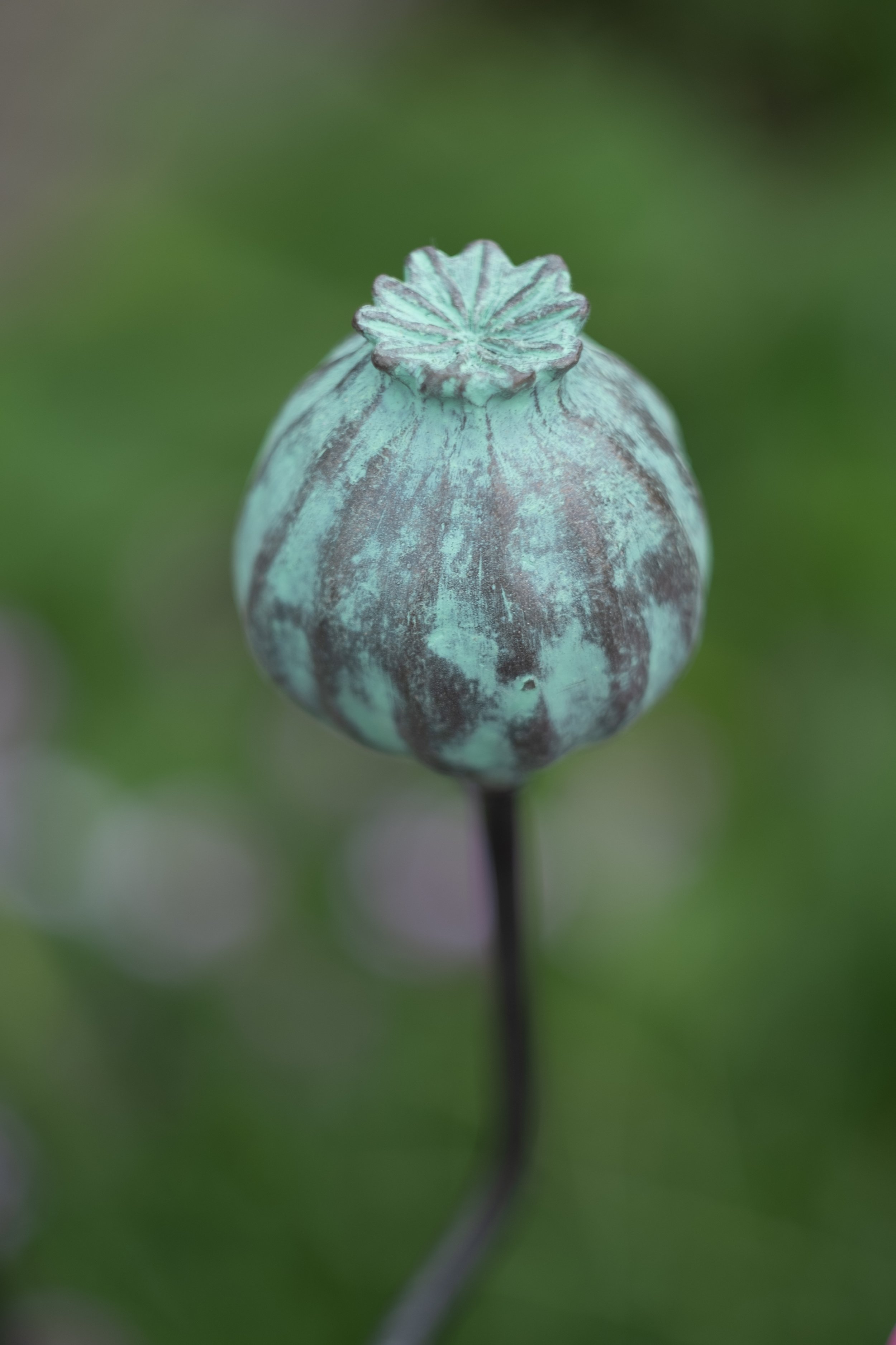 Poppy Seed Head Garden Stake