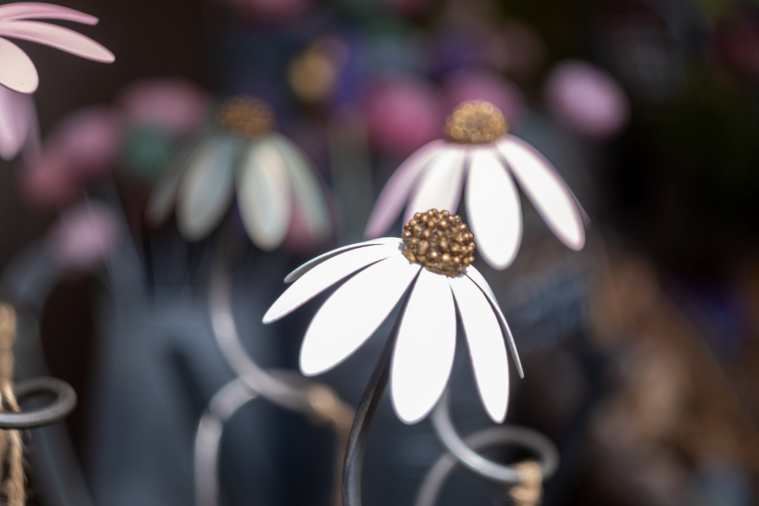 Echinacea White Garden Stake (Special Edition)