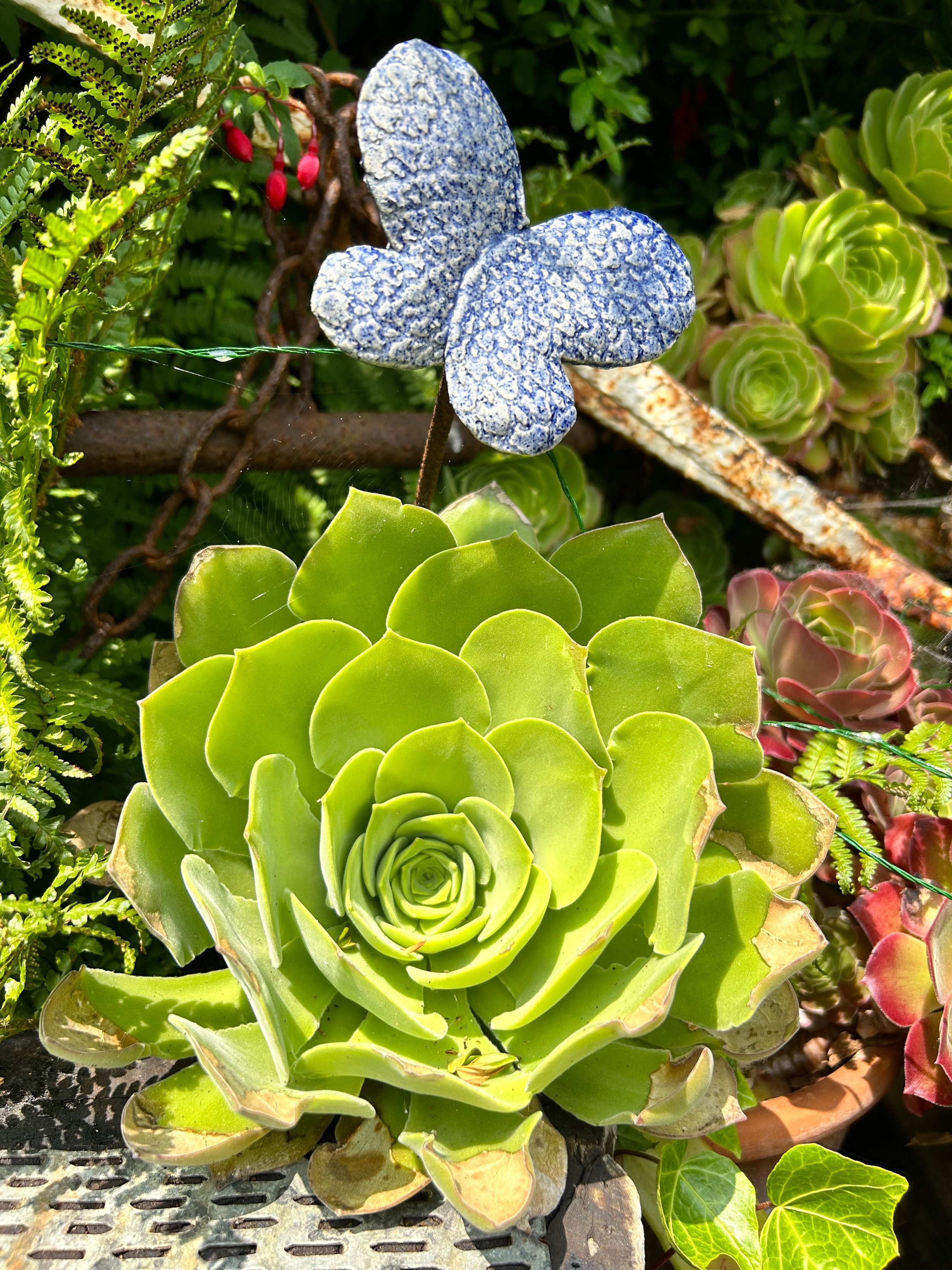 first purchase ceramic blue butterfly.jpg