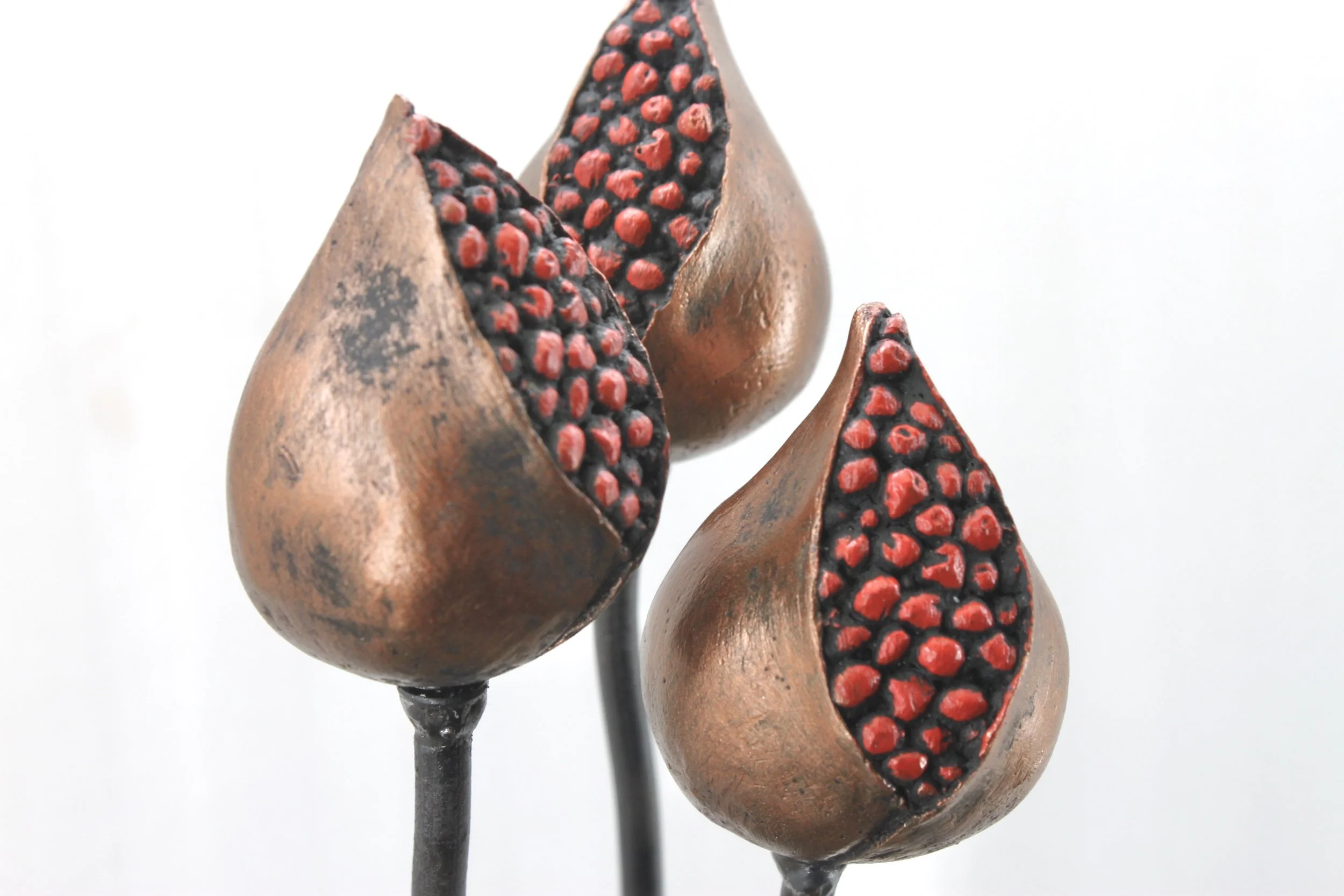 Opening Red Berry Pod - Black copper Special edition
