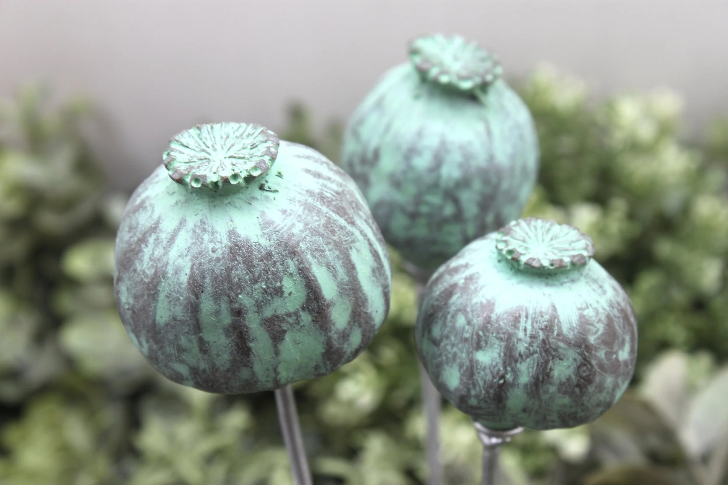 Poppy seed small - Verdigris  - Single stem  (Special Edition)