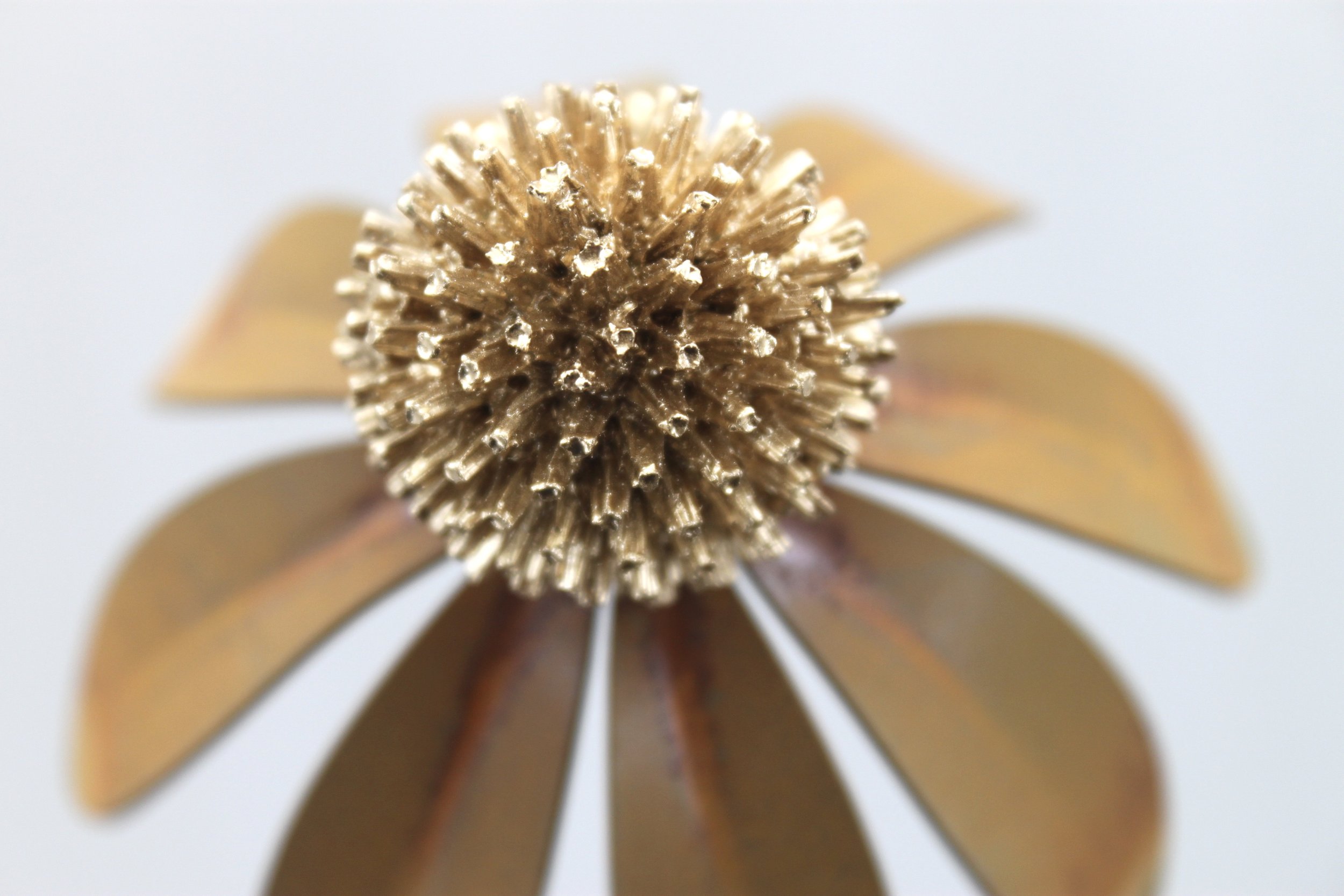0C5D1DF1-A92B-42CB-B645-F65D0B6F6852_1_201_a.jpeg