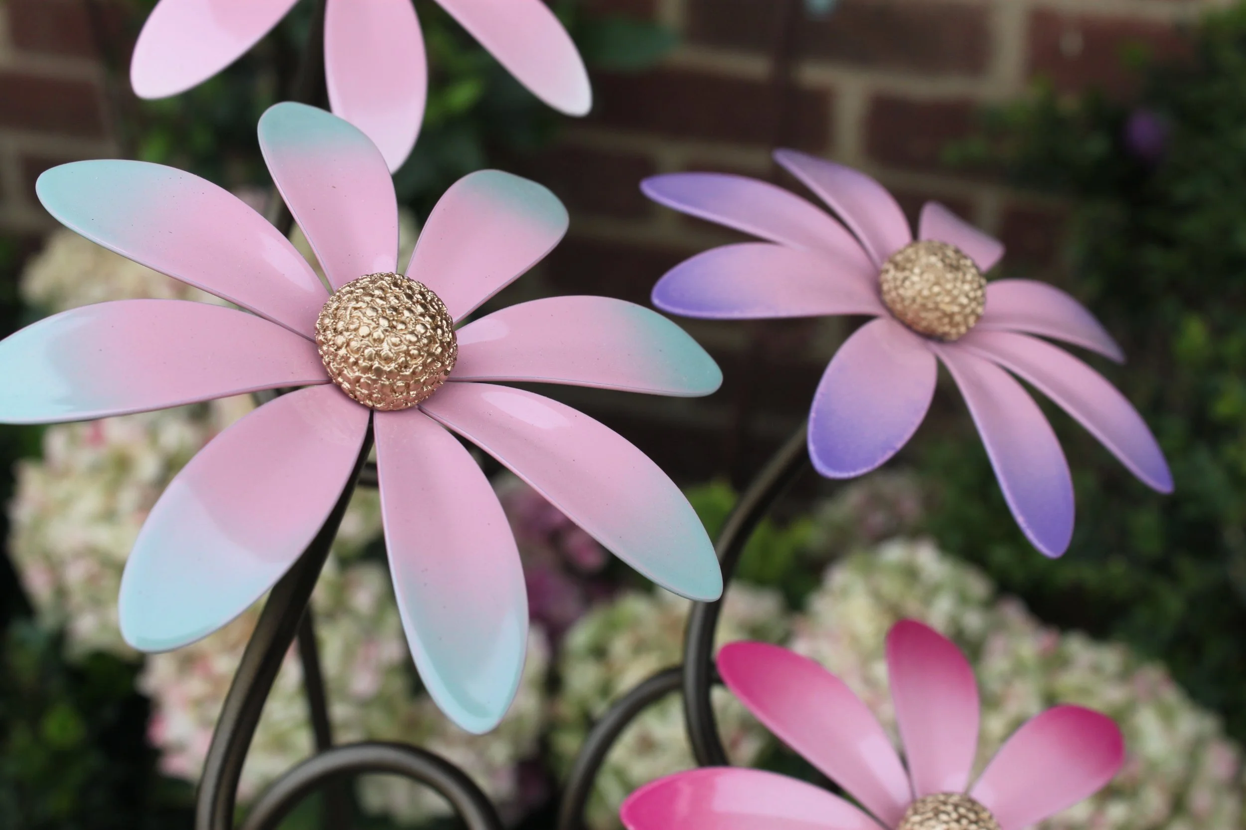 C4D2199A-D279-42DC-8AAB-52BC2BCD432B.jpeg