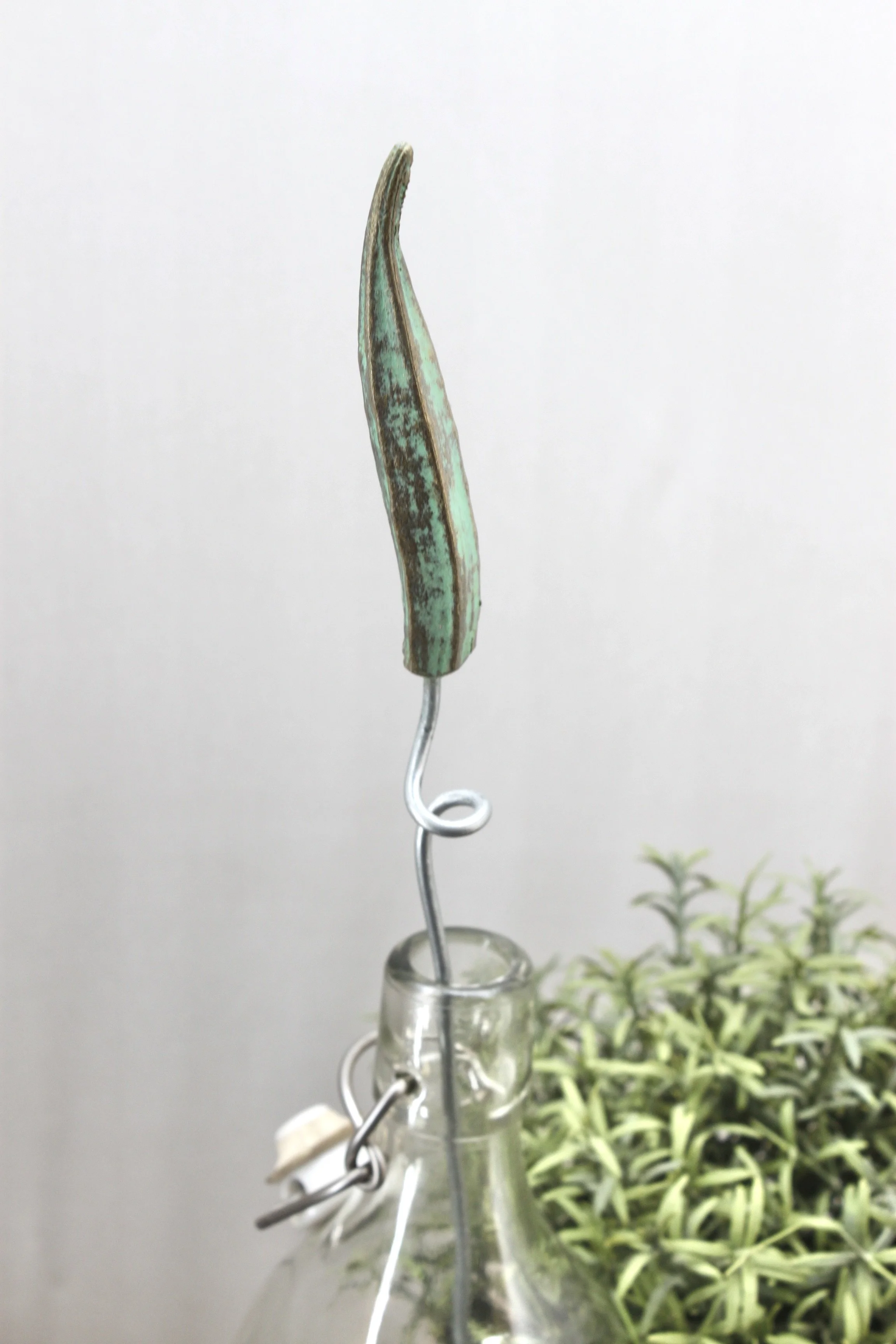 AB53B1B1-21BC-4120-ACC1-F72E6739A4AC_1_201_a.jpeg