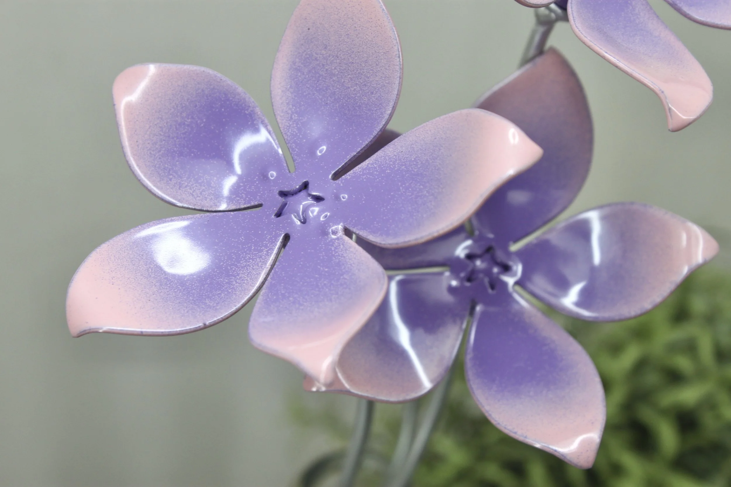 0B38D5E7-5190-46CC-9044-E56C5924A1F6_1_201_a.jpeg