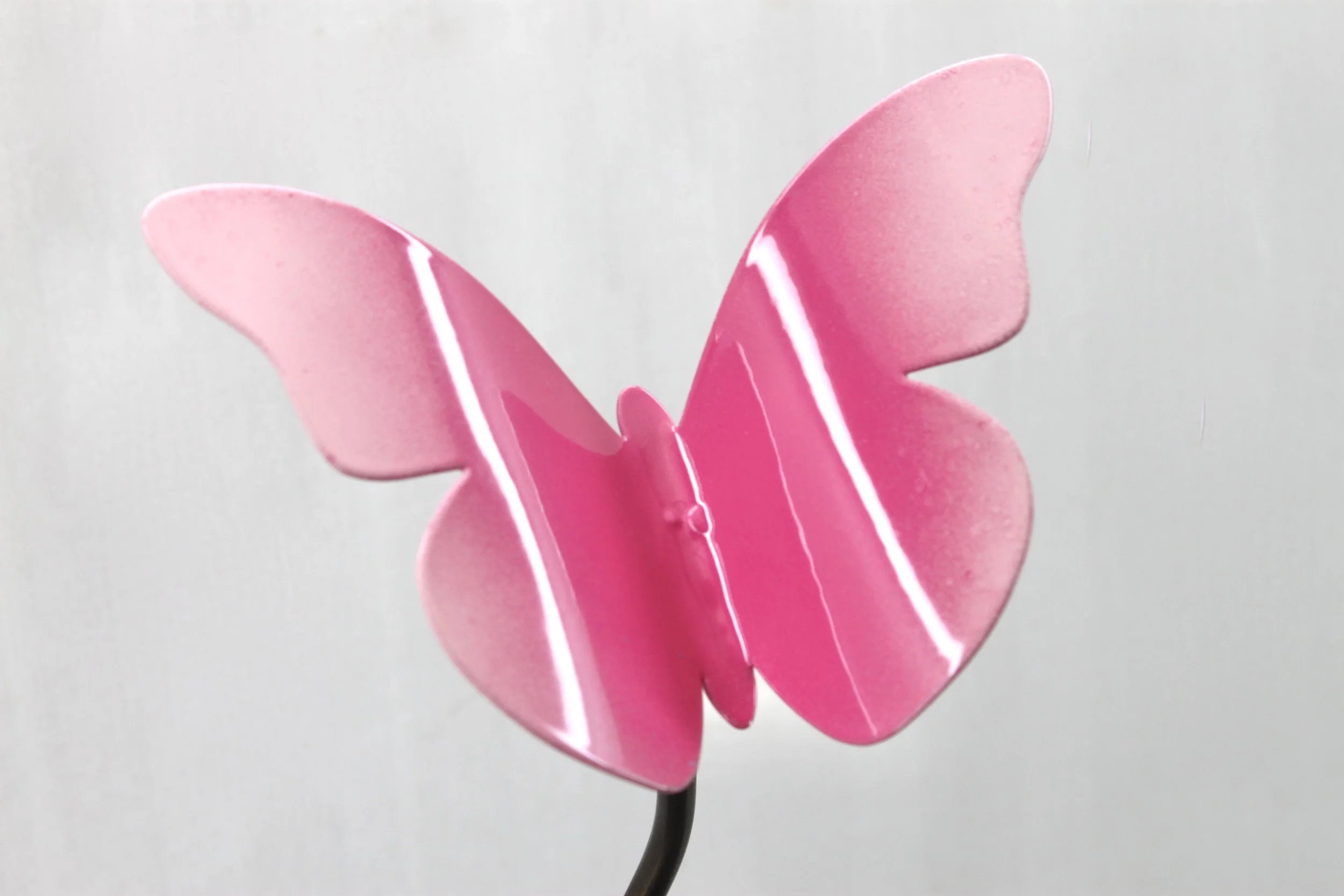 Butterfly - Papillon  Rose- Garden Stake (Special Edition)