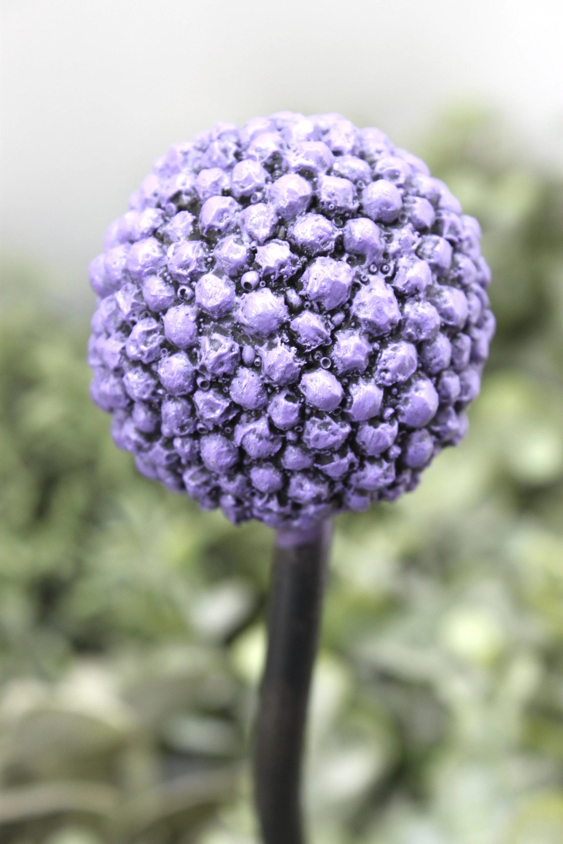 72DEBBDF-B222-4B73-BD89-6A36447FF446_1_201_a.jpeg