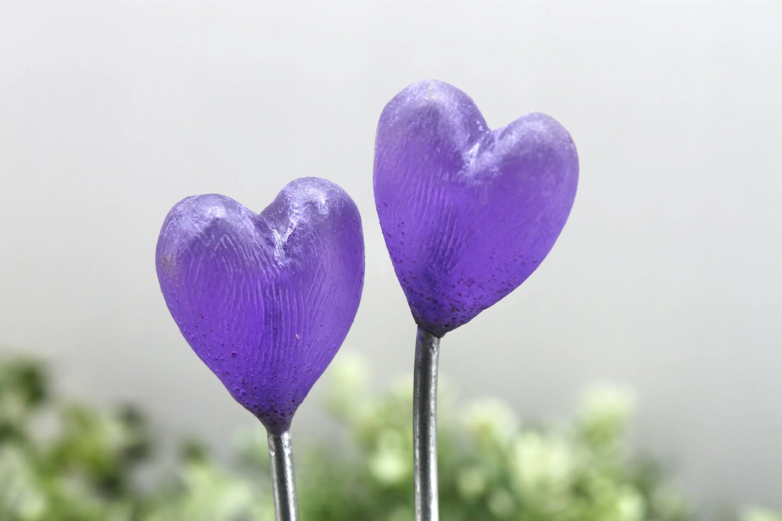 Translucent Purple Heart  - Single stem  (Special Edition)