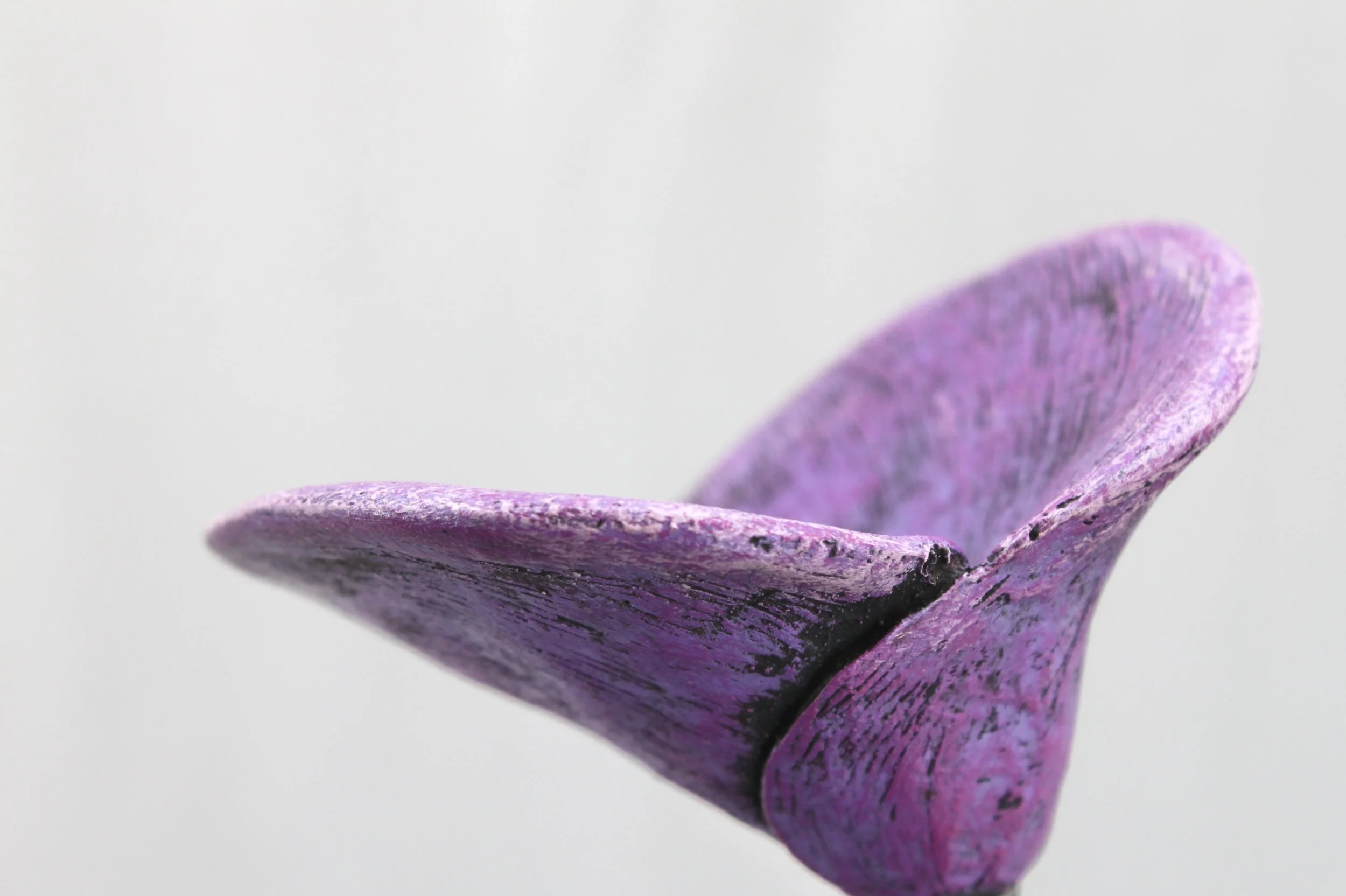 7B45690F-6CAA-4D74-8F56-FF93DFB08C50_1_201_a.jpeg
