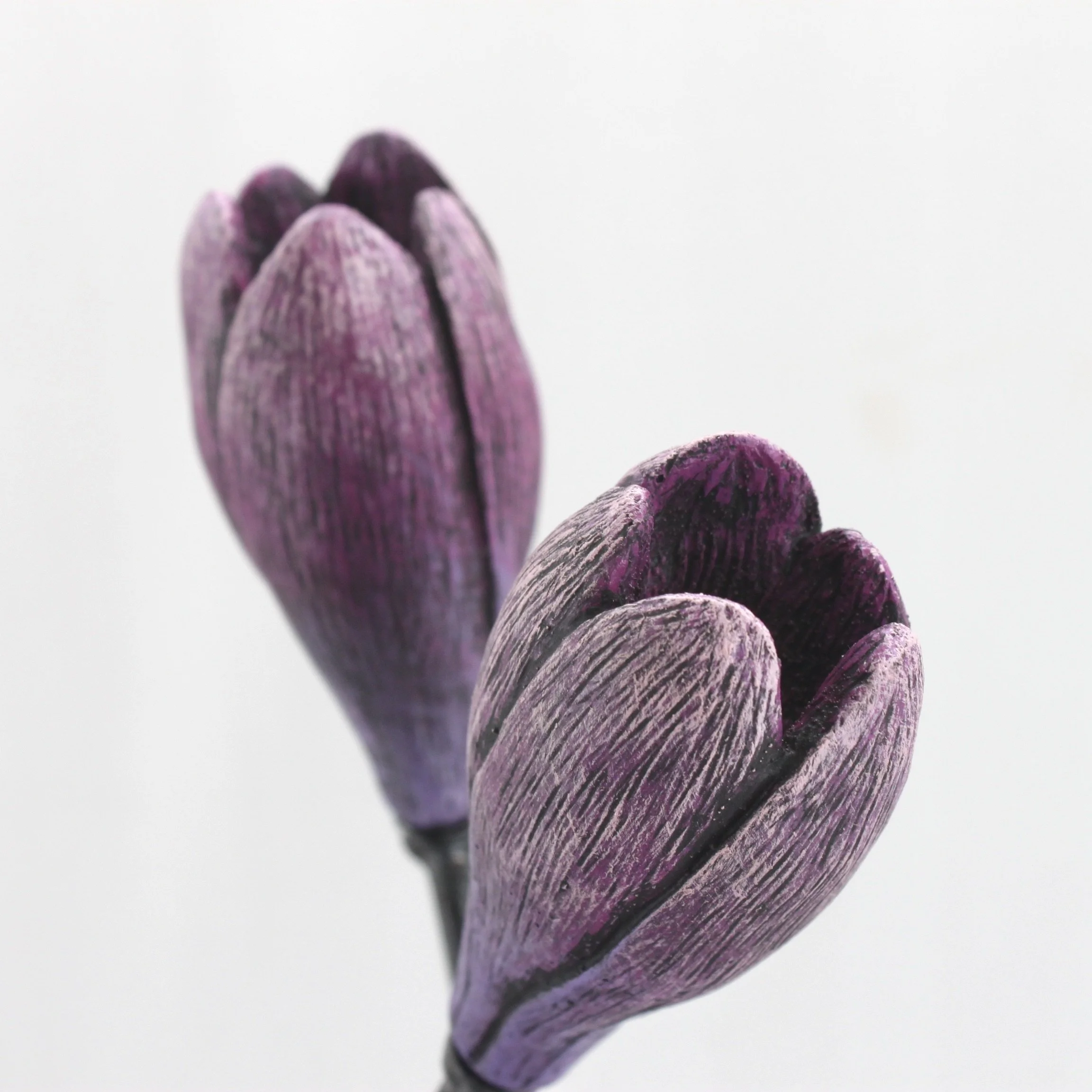 A2B773C1-07DC-4436-8617-BA252AAA5FB8_1_201_a.jpeg
