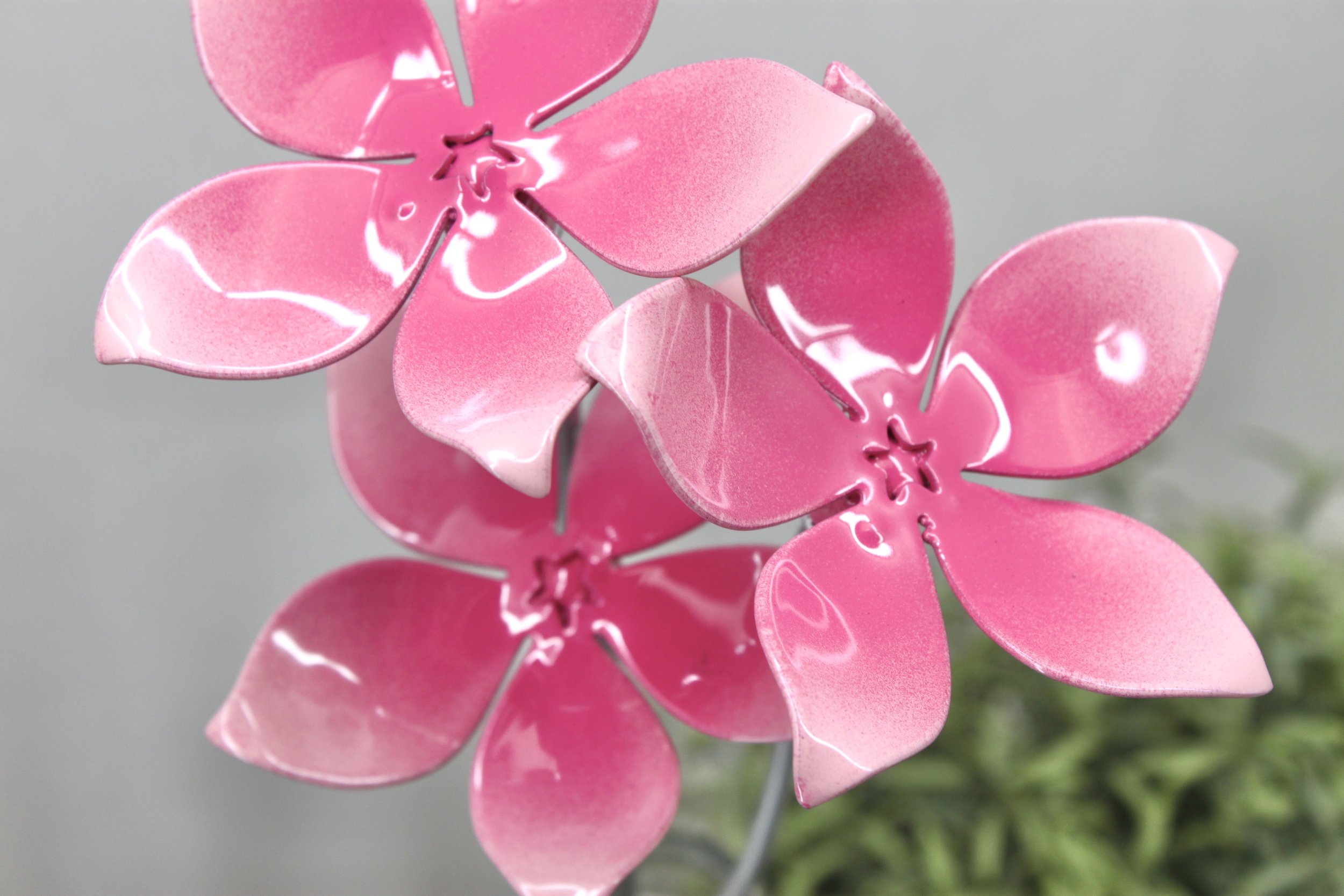 D4083FD1-7C99-49CC-914F-0AAECB4EF847_1_201_a.jpeg