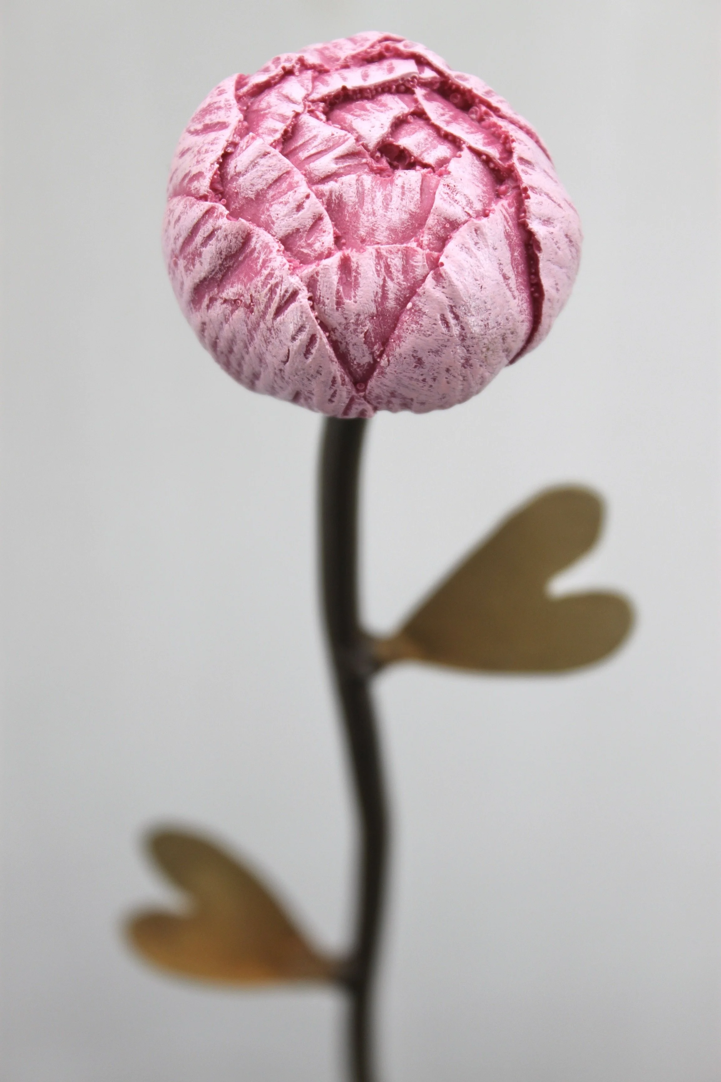 1363E2BC-E559-48E4-A8F0-31BEE46969E2_1_201_a.jpeg