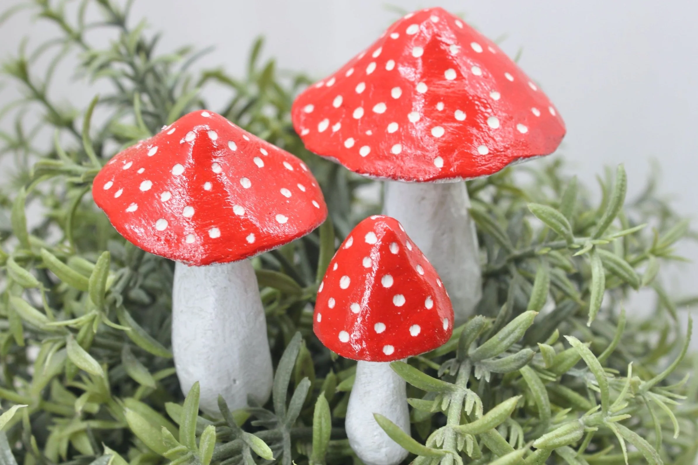 IMG_7788.jpg