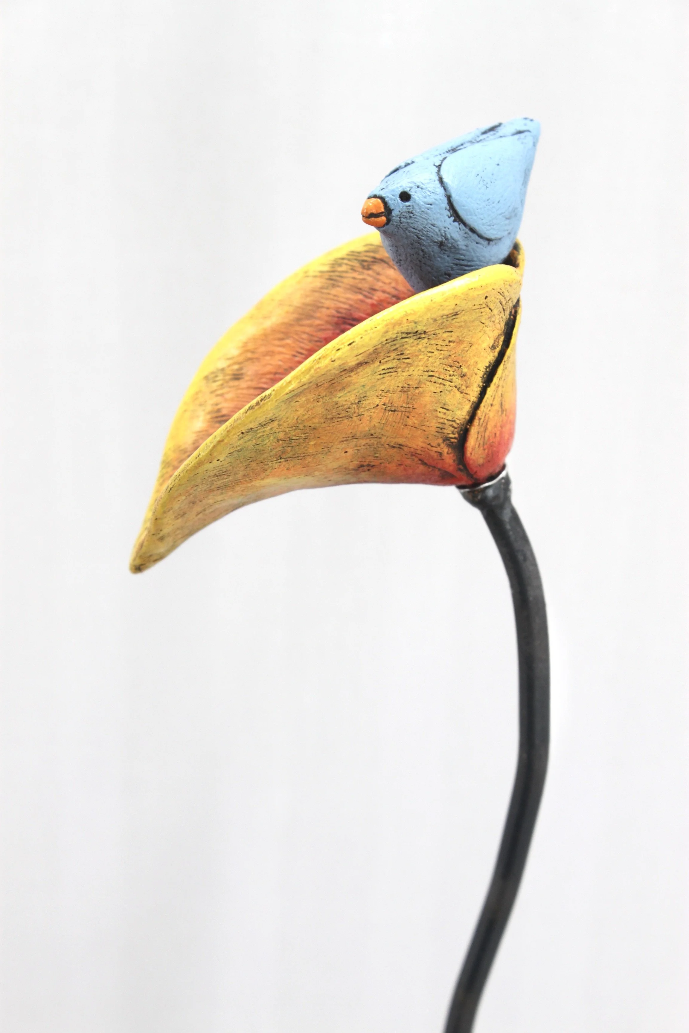 40F05175-E15A-4143-B7F9-844BA872A74C_1_201_a.jpeg
