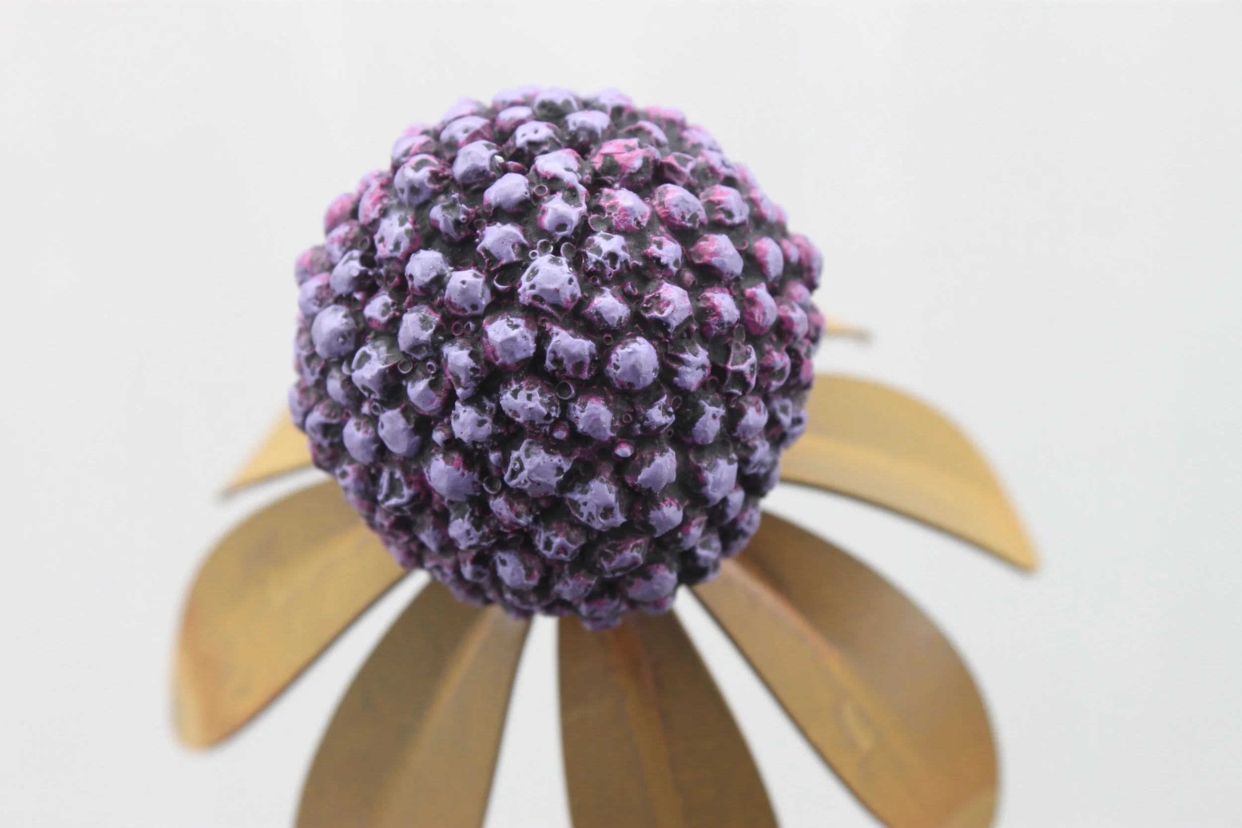 A0D41E19-3A70-45AD-BD83-5805EFB13C8E_1_201_a.jpeg