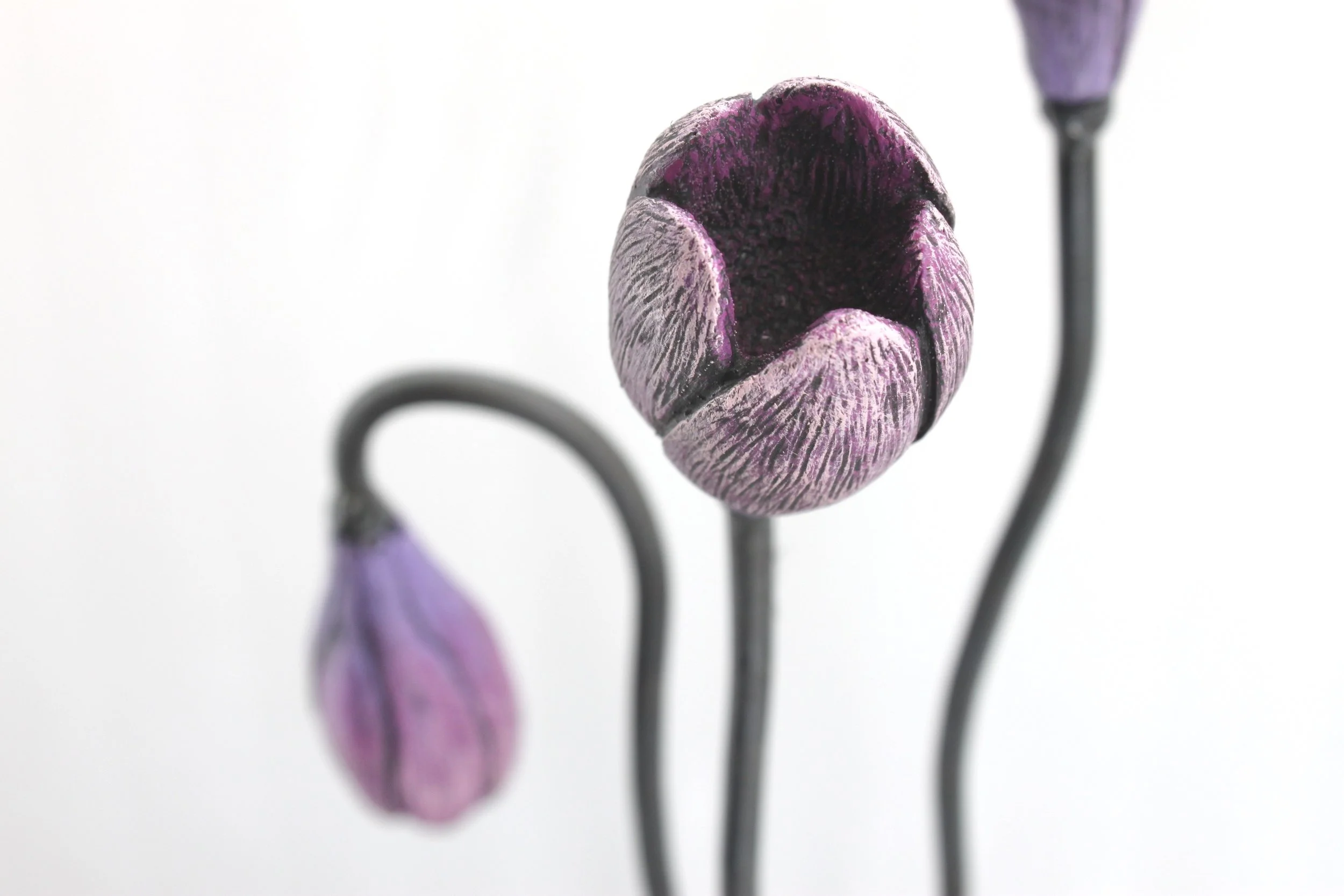 7D79E9BE-E6A5-4412-8AF4-DE178217D6A5_1_201_a.jpeg