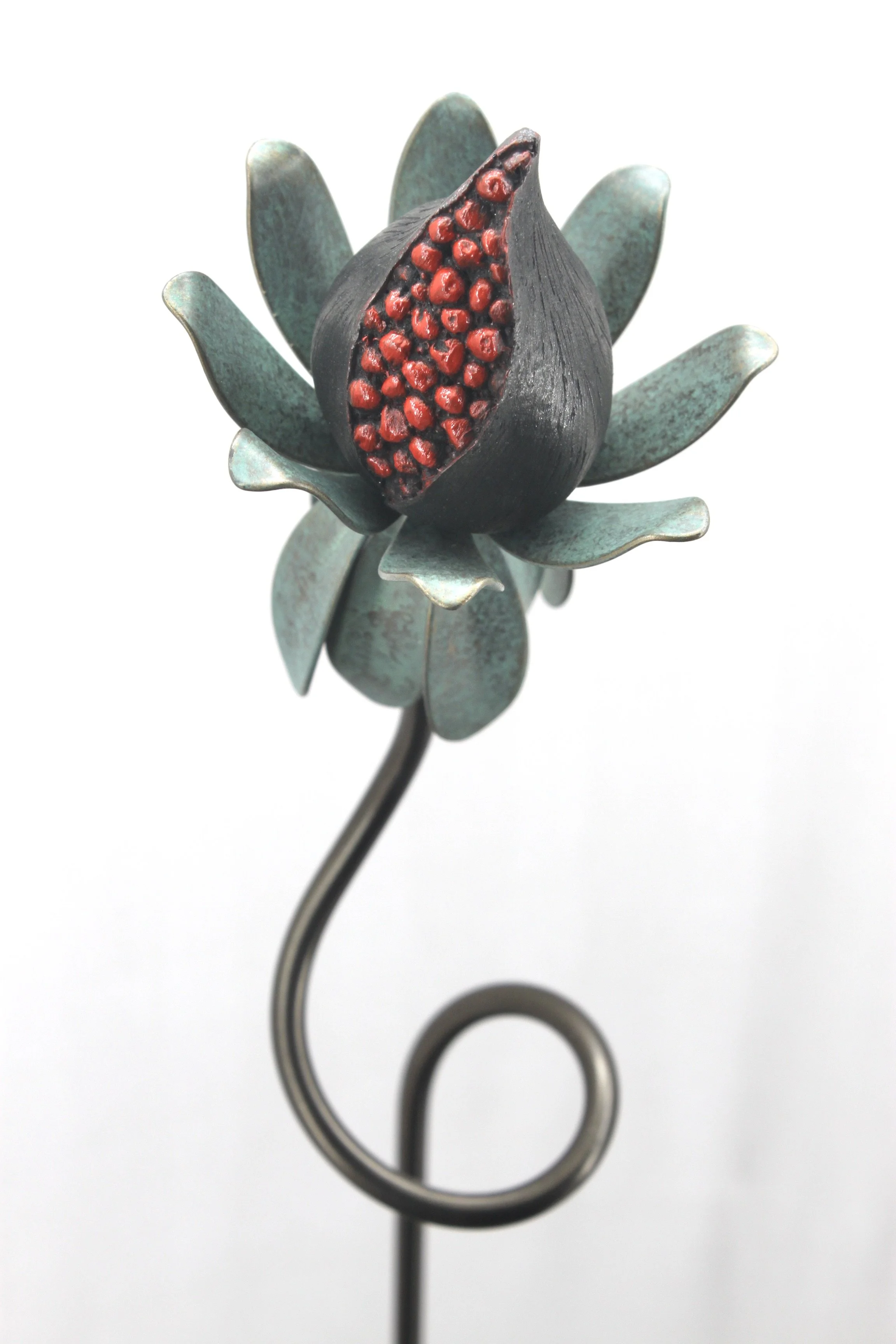 Berry bloom - Special edition