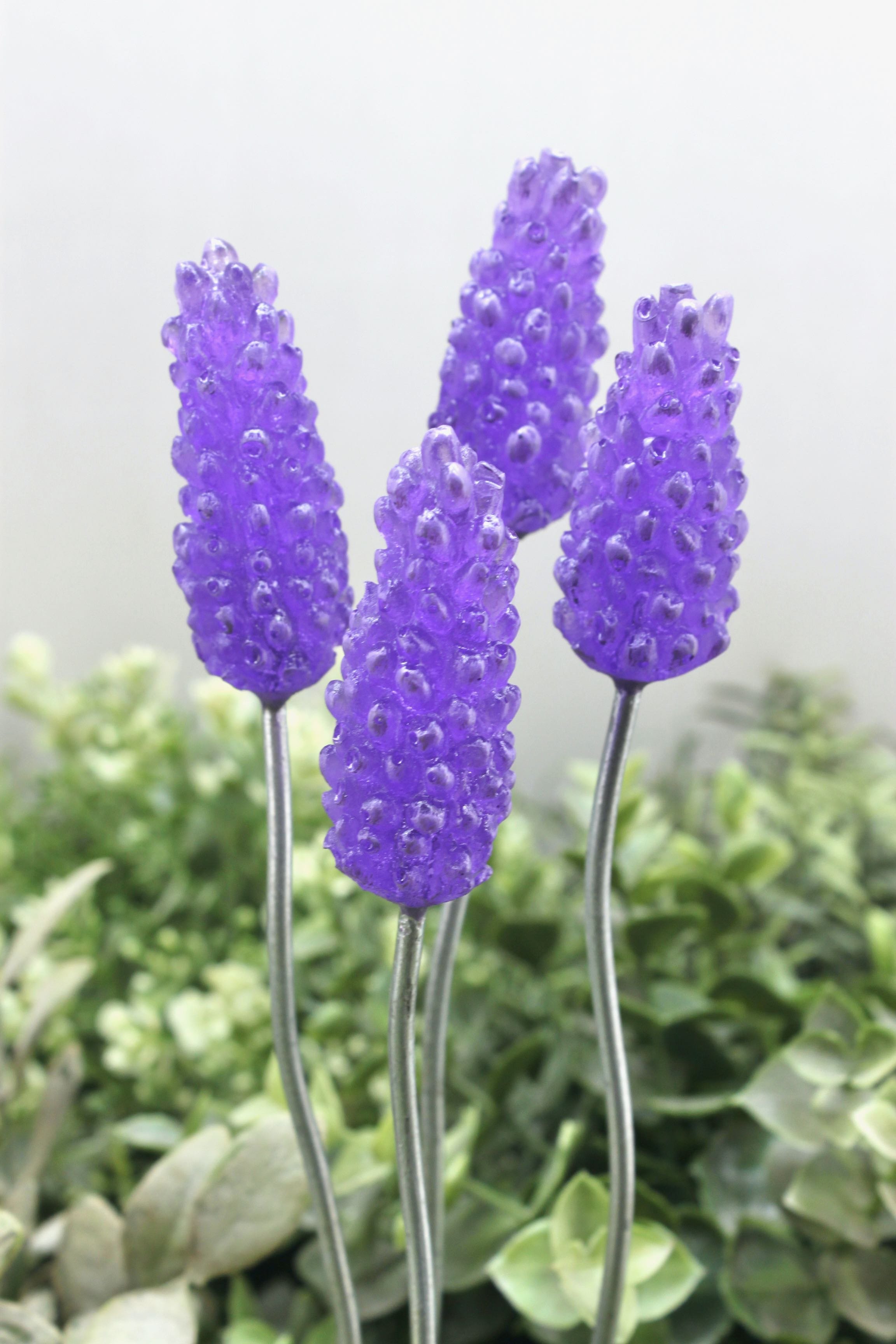Translucent Purple Lavender  - Single stem  (Special Edition)