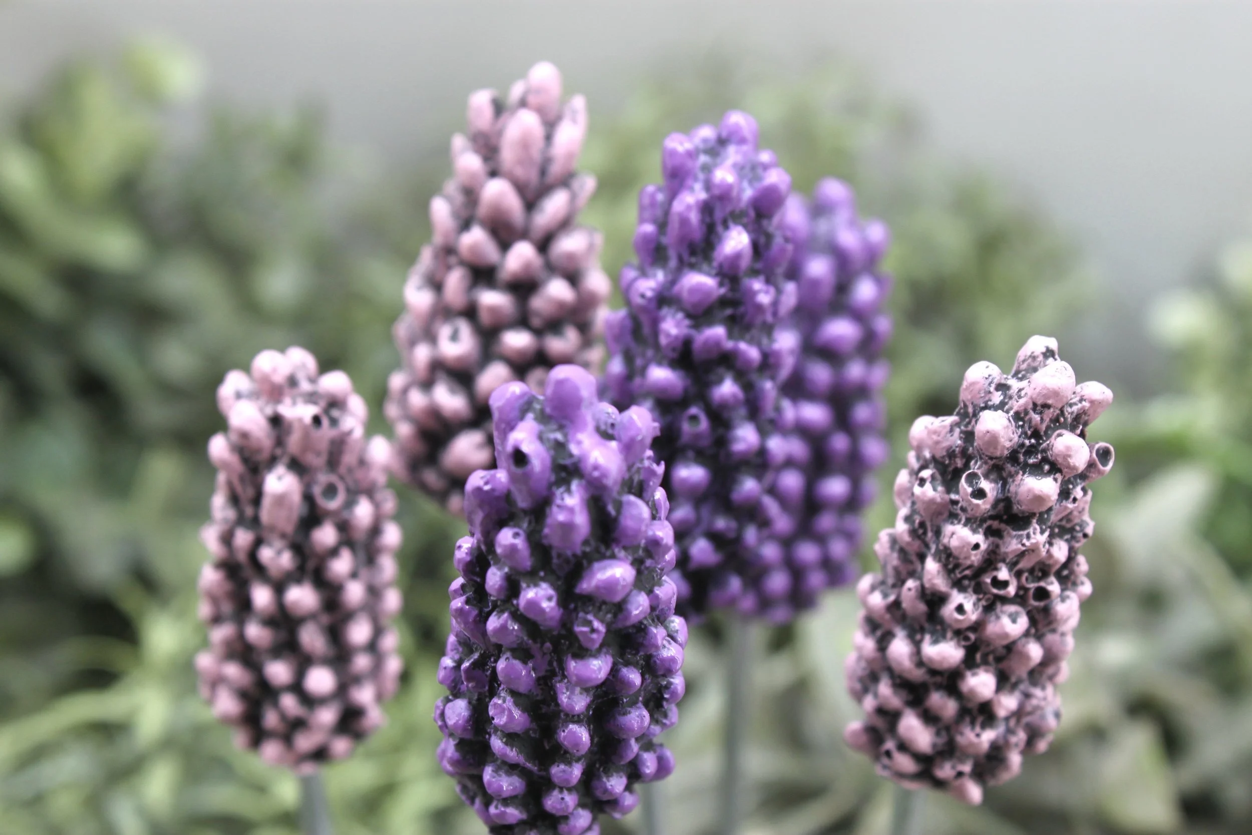 404522C8-CF20-4257-95FA-F0A776A8EA44_1_201_a.jpeg