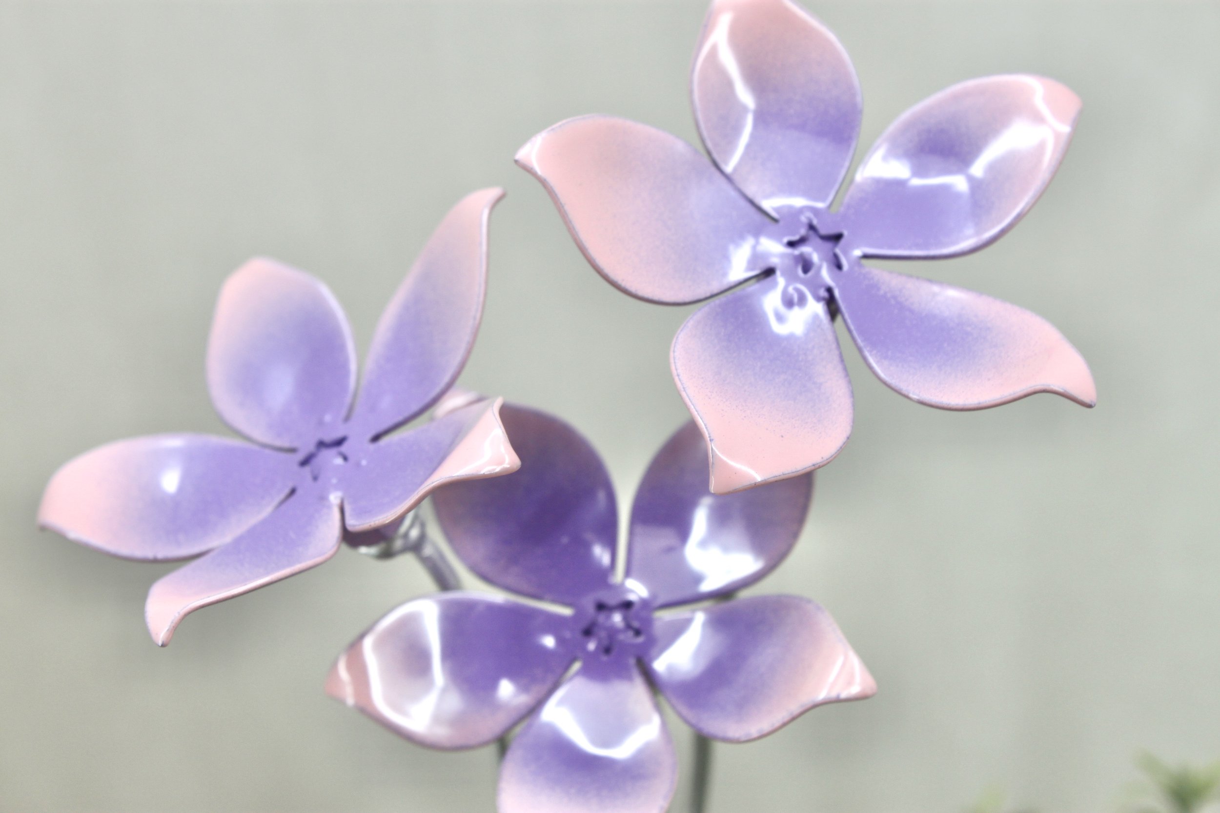 77A70F48-778F-4780-959C-29E262A7DAAE_1_201_a.jpeg
