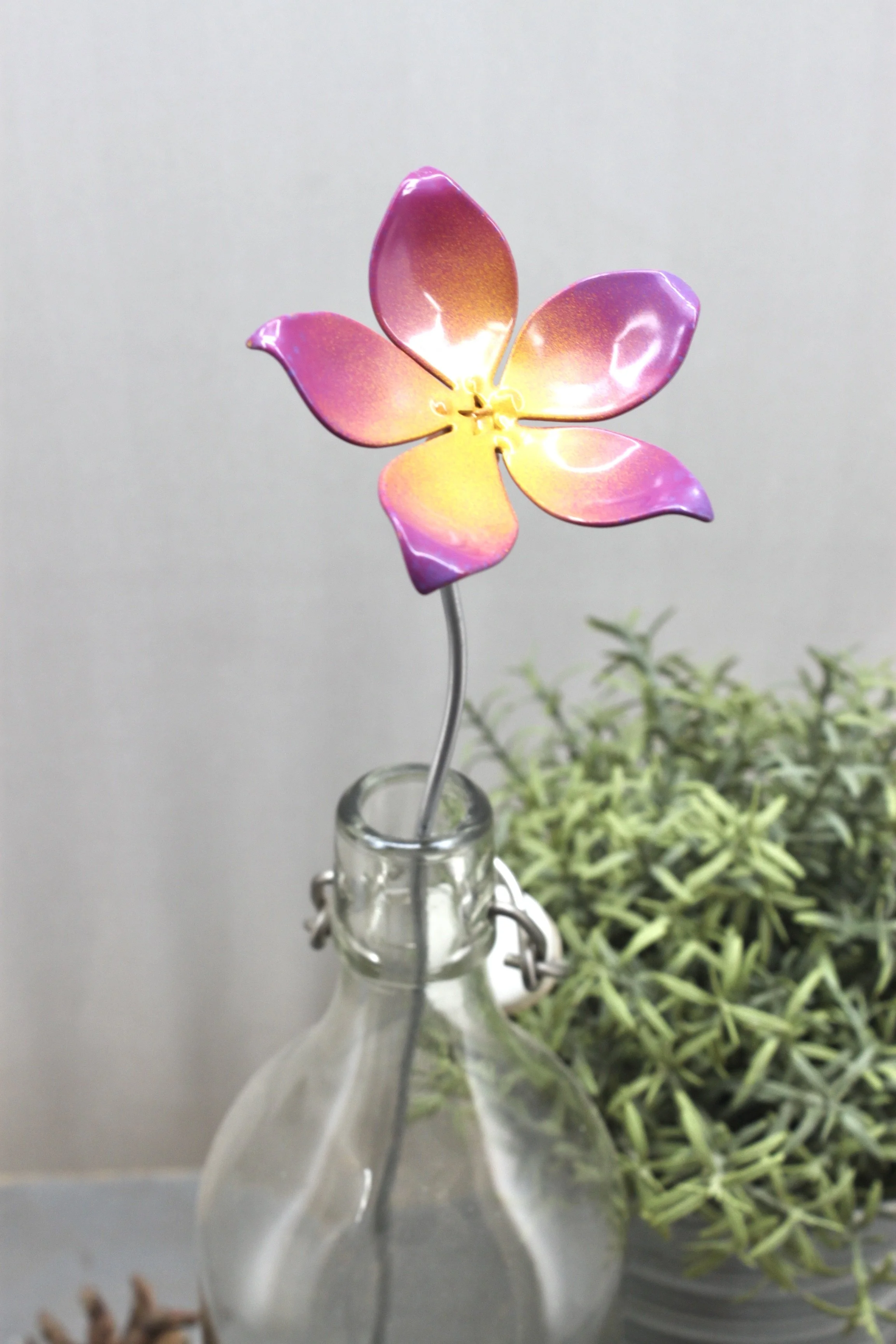 1F1461FD-A462-4F67-A6D8-E7C95945C303_1_201_a.jpeg