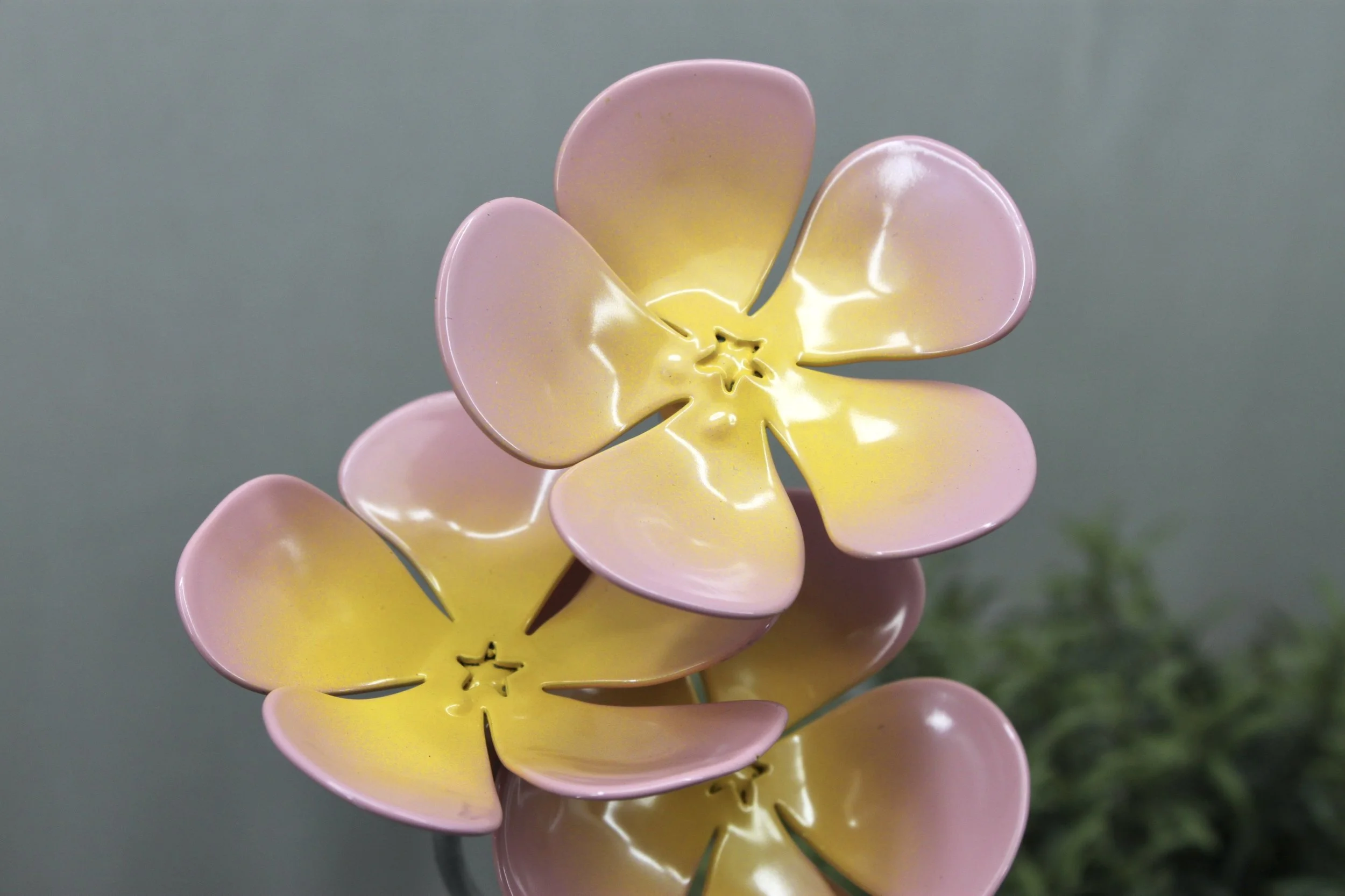 857D0CB6-ED14-4B5D-AB00-836221DDCCDE_1_201_a.jpeg