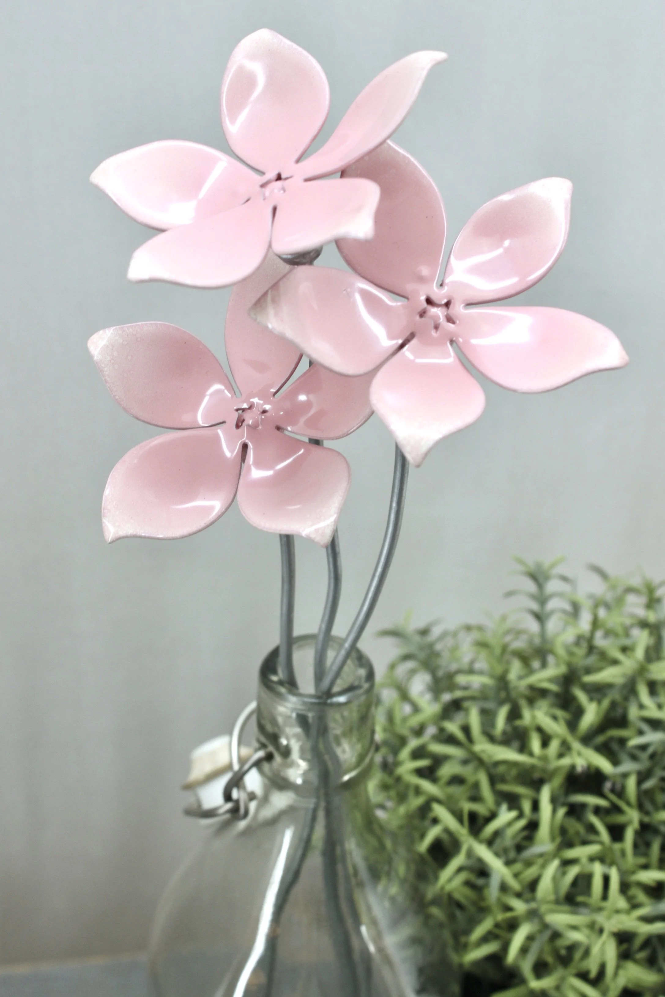 E0F53725-AB14-456E-B713-A761EAD62F55_1_201_a.jpeg