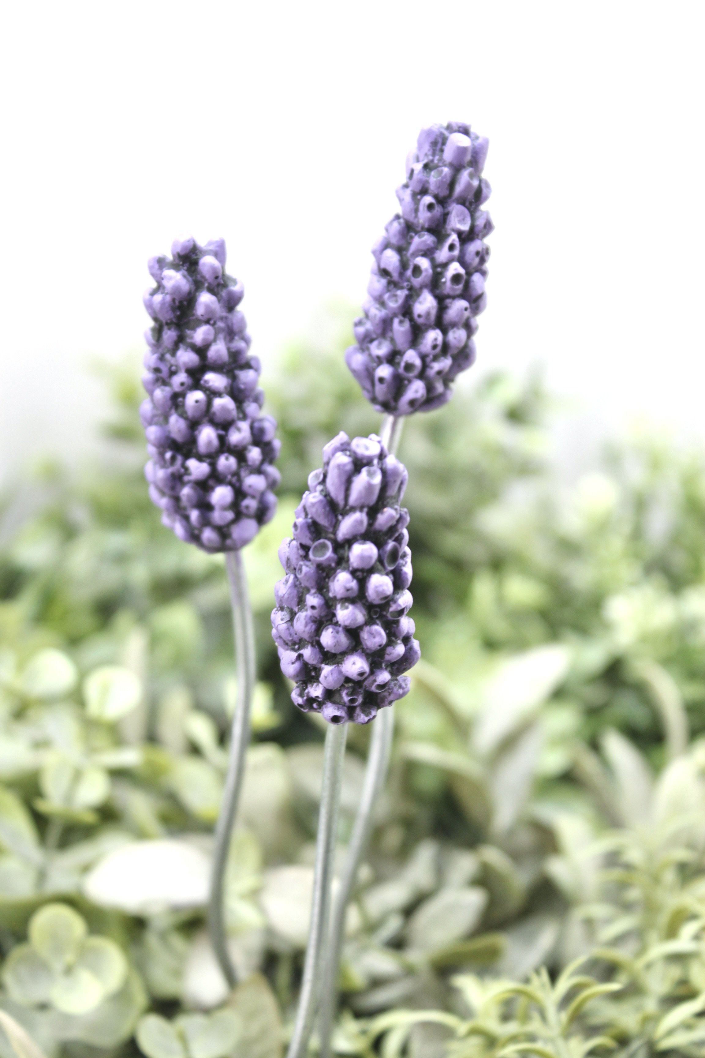 B620E088-B646-4EBB-9EA9-A3E5024430DA_1_201_a.jpeg