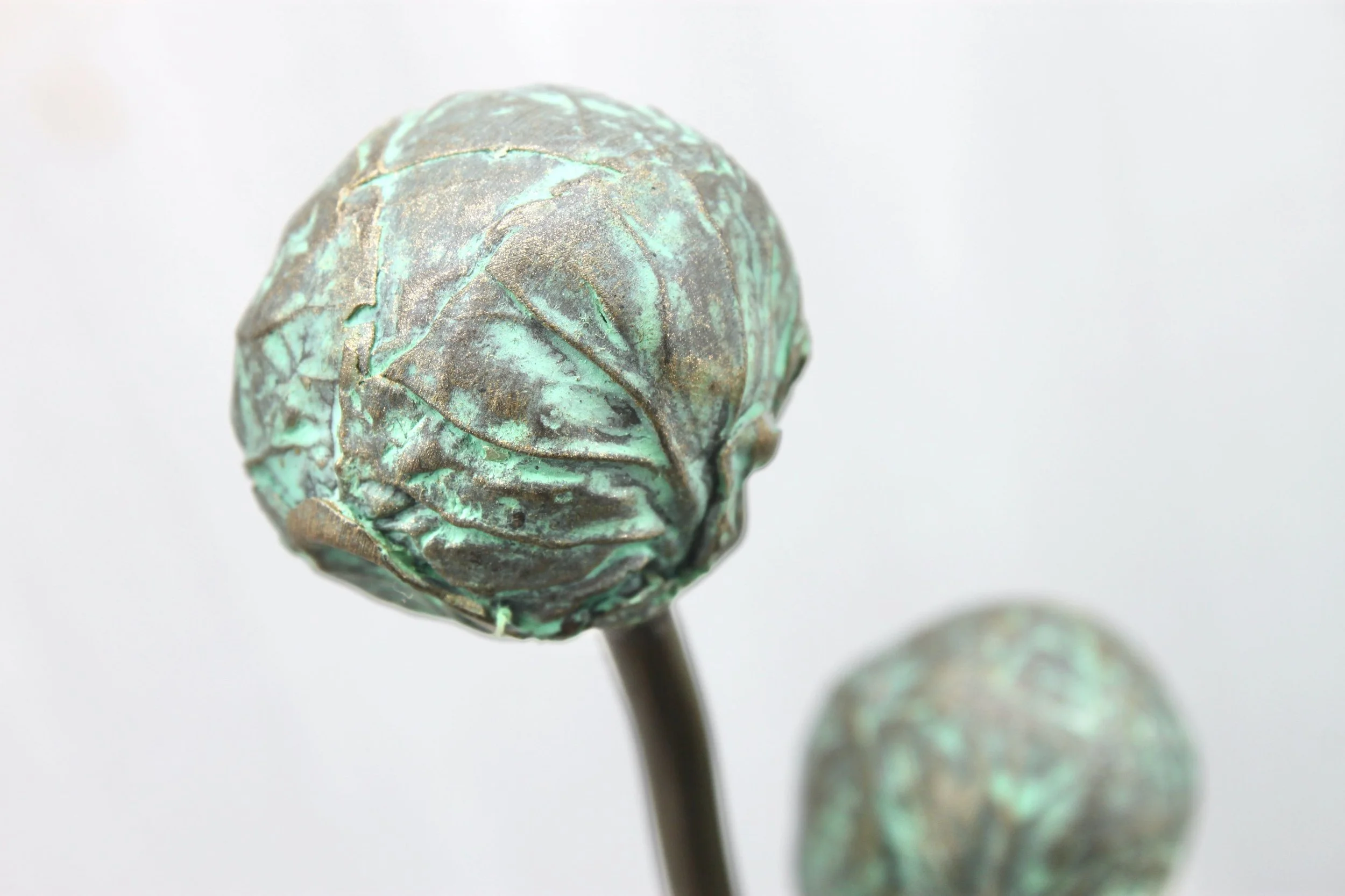 Triple sprout  (Special Edition)