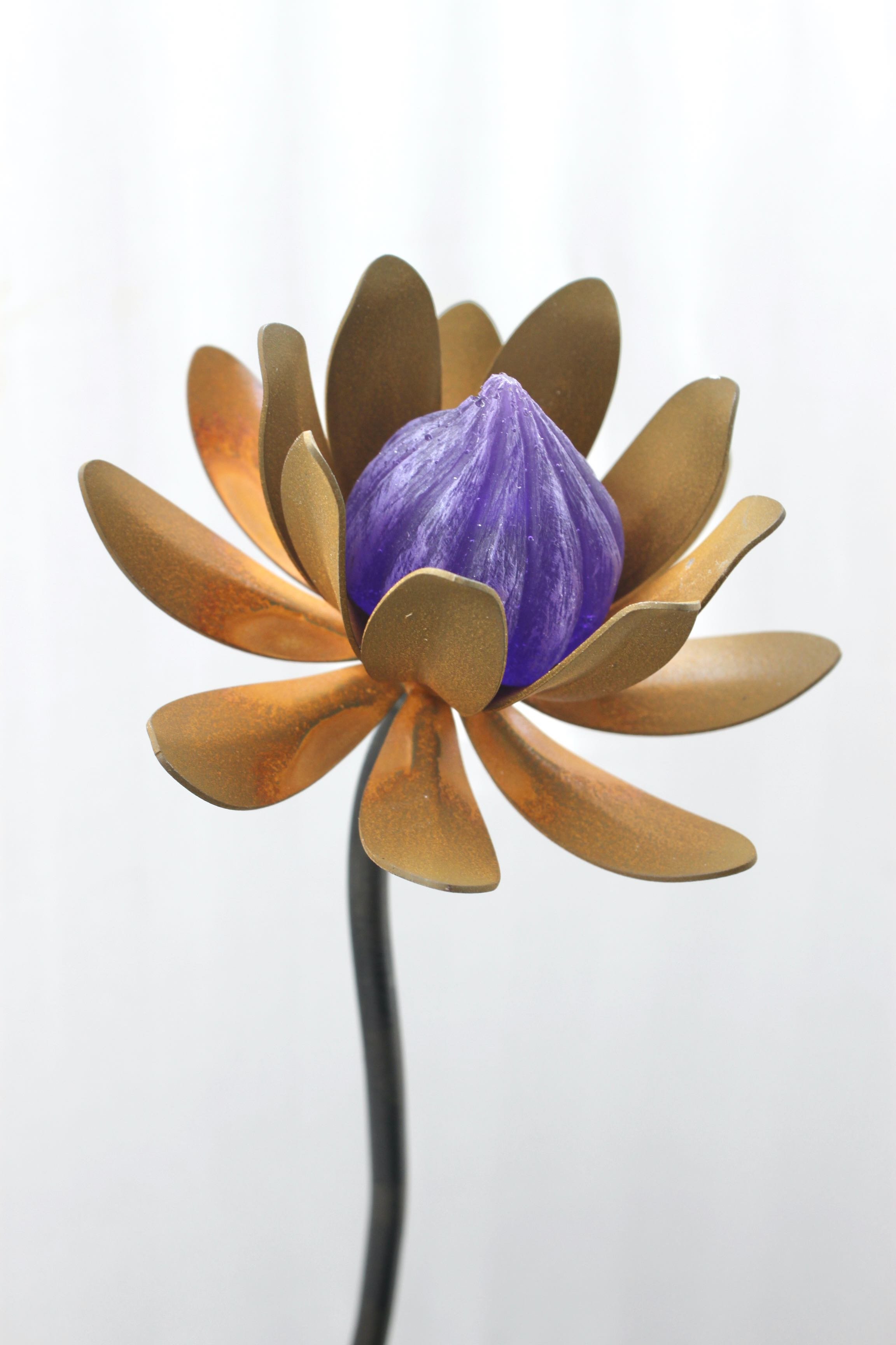 Oxidised opening bloom -Purple heart 2 (Special Edition)