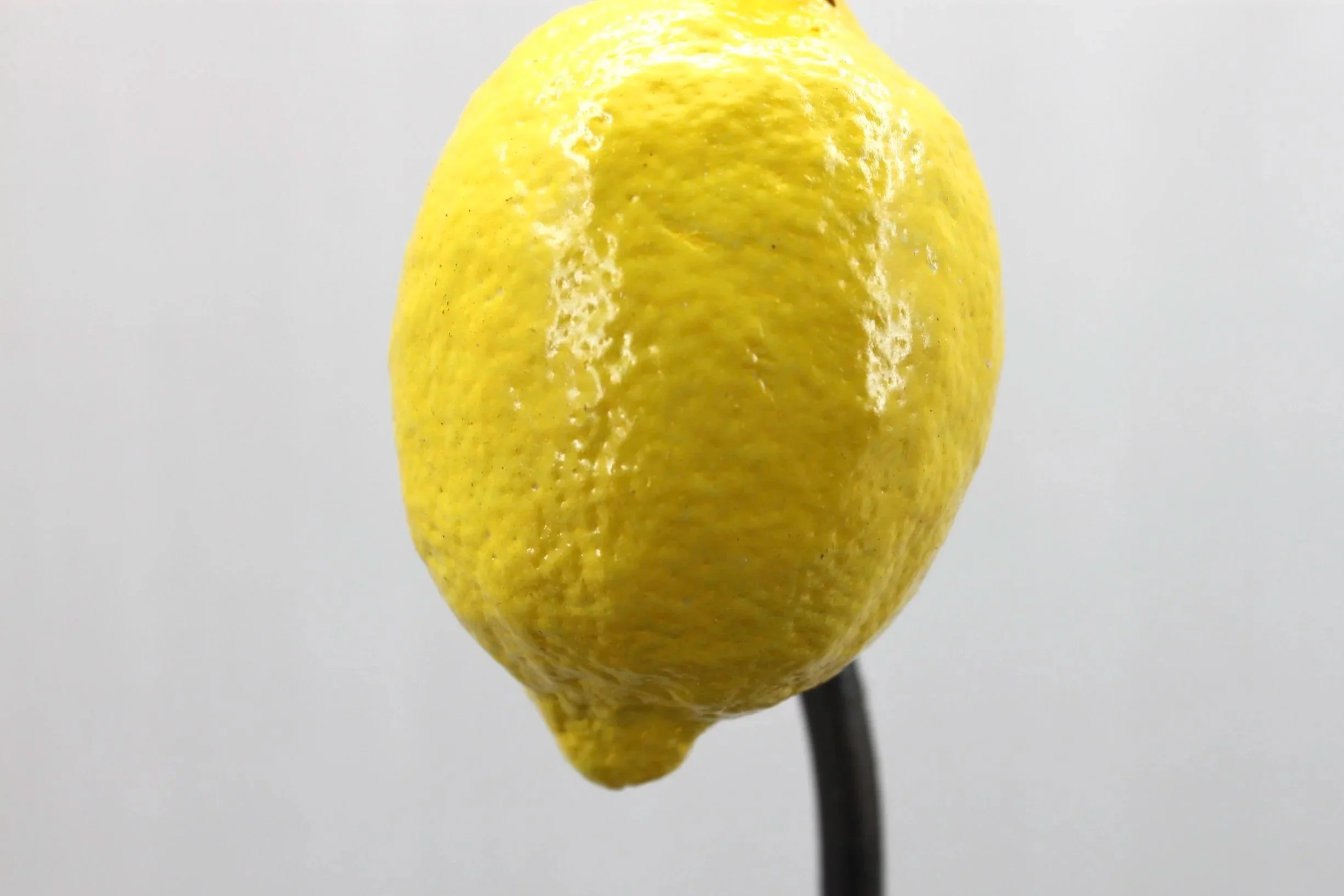 00D6C9E3-E75B-4A58-BF4C-788256A4FC01_1_201_a.jpg