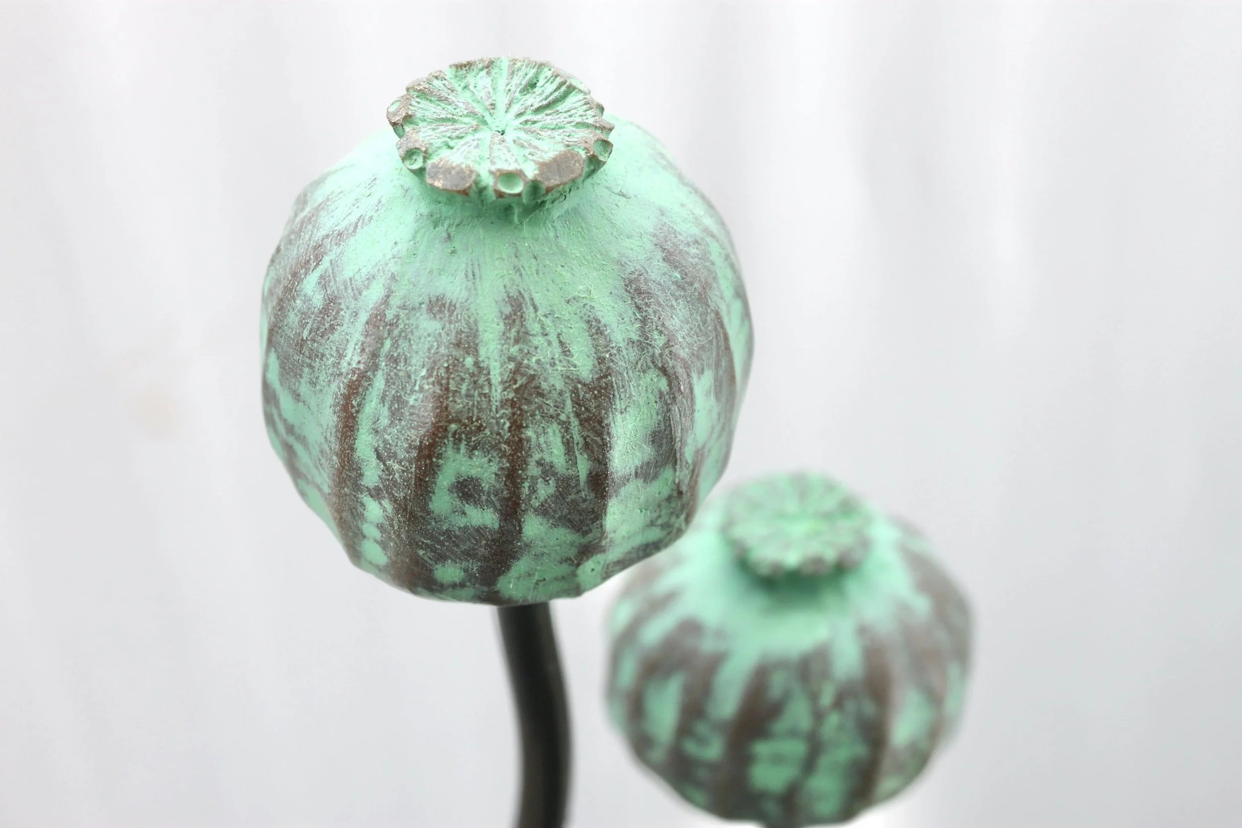 Triple stem Poppy Seed  (Special Edition)