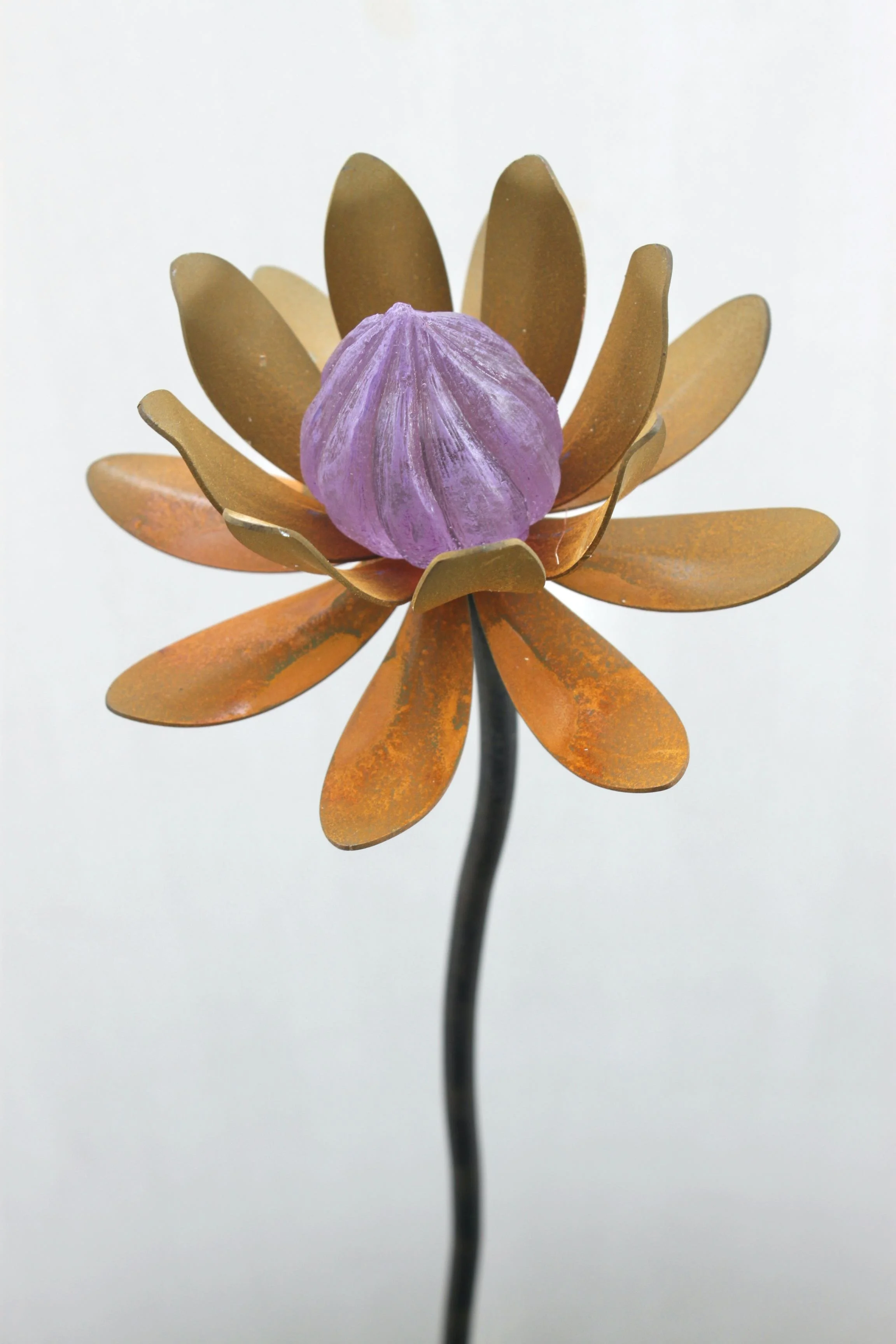 Oxidised opening bloom- Purple heart 1 (Special edition)