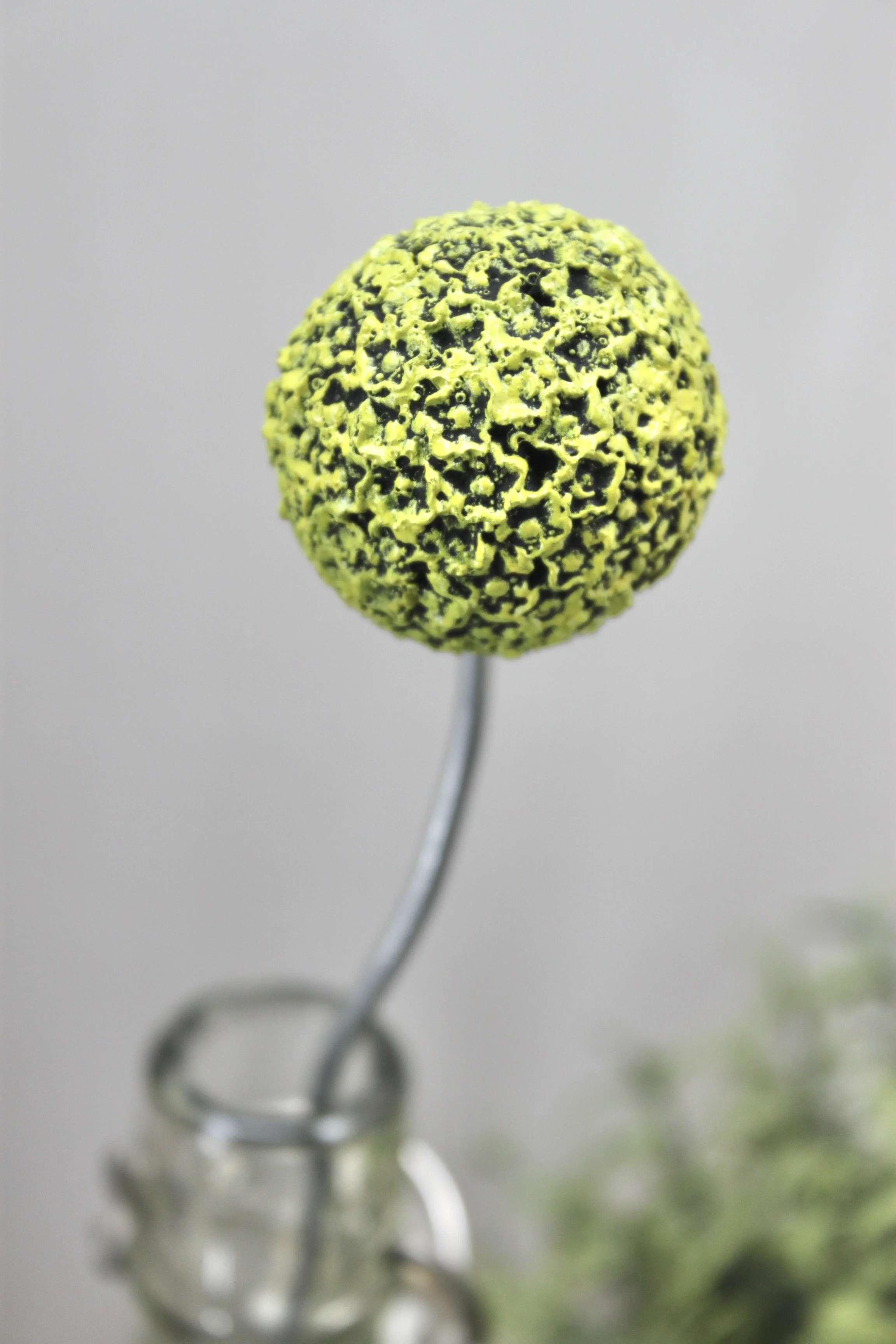 615C71AE-F5AF-40A5-8ADE-E7B4AEE68D32_1_201_a.jpeg