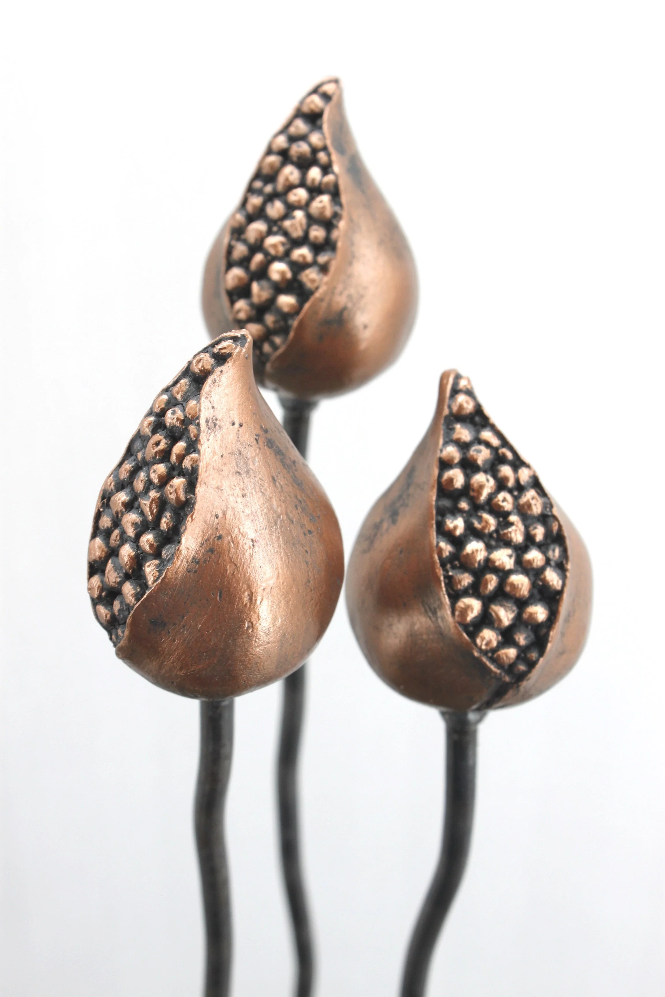 Opening Berry Pod - Black copper Special edition