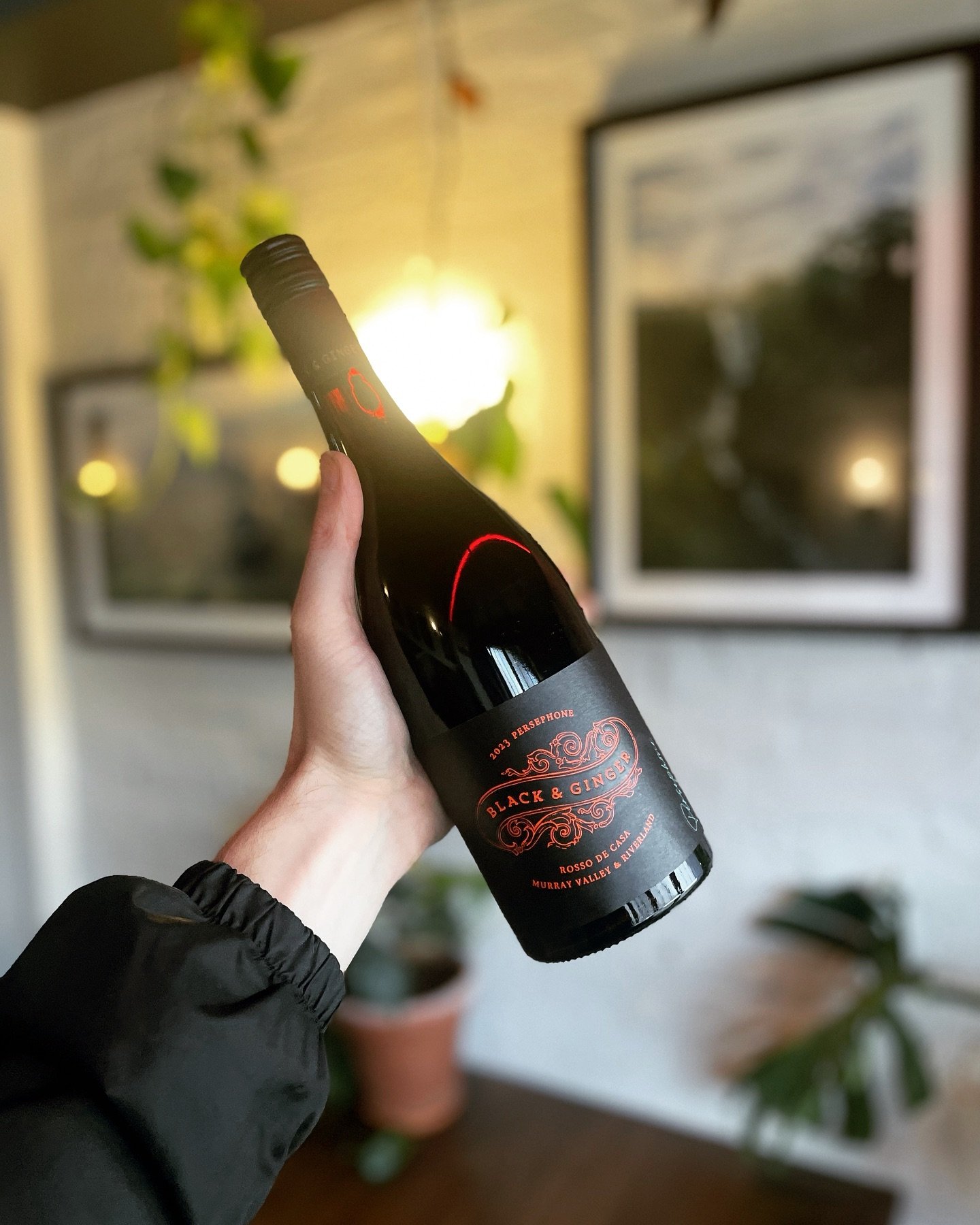 New pourer from local producer @blackandgingerwine 

Italian blend of Nero d&rsquo;Avola, Aglianico, and Nero Di Troia sourced from Murray Darling and the Riverlands.

Great smashability, with plenty of dark fruit and spice characteristics similar to